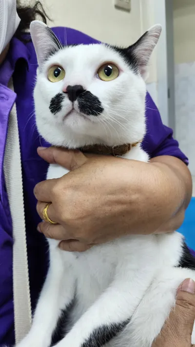 Samut Prakan Veterinary