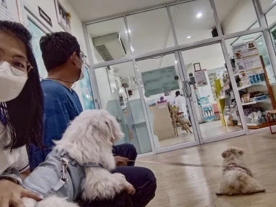 Mister Pet Animal Hospital