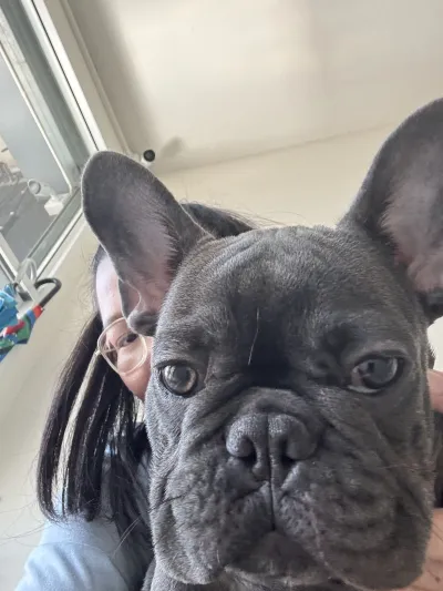 Baan Kong Pet Clinic