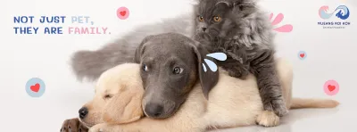 MUEANG ROI KOH Animal Hospital