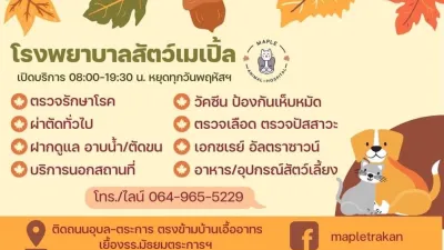 Maple Animal Hospital