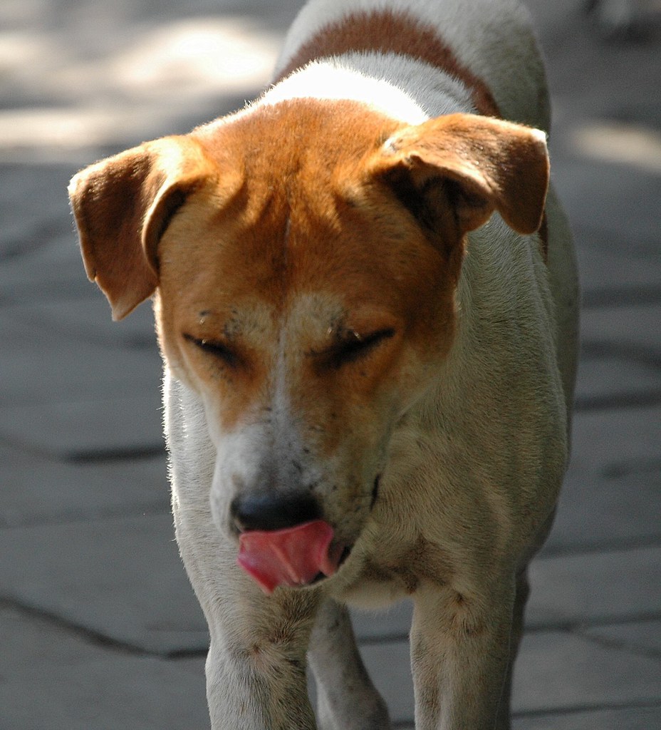 Namtan