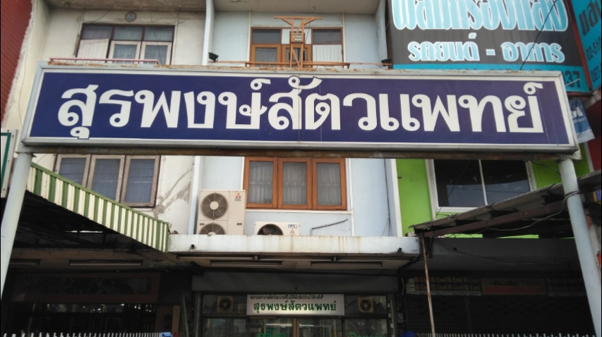 Surapong, Veterinarian