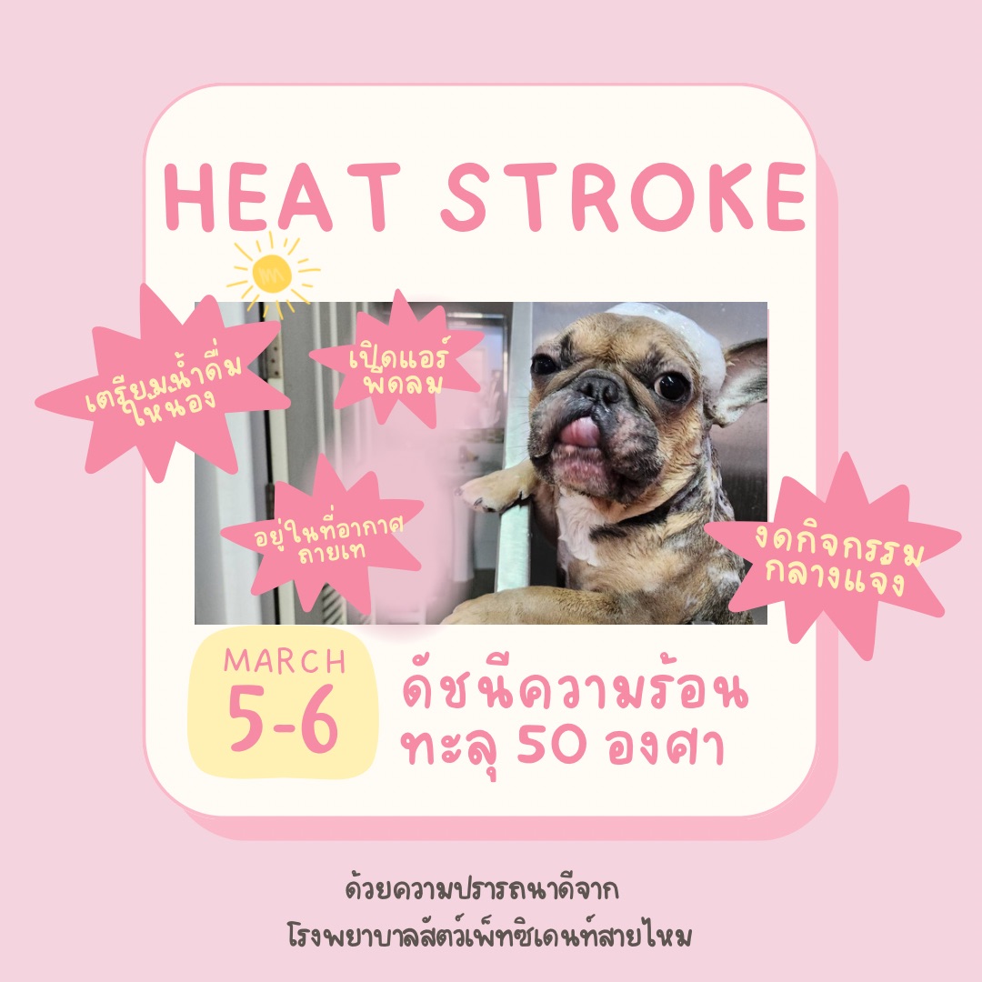 Hospitality Sai Mai Animal Hospital