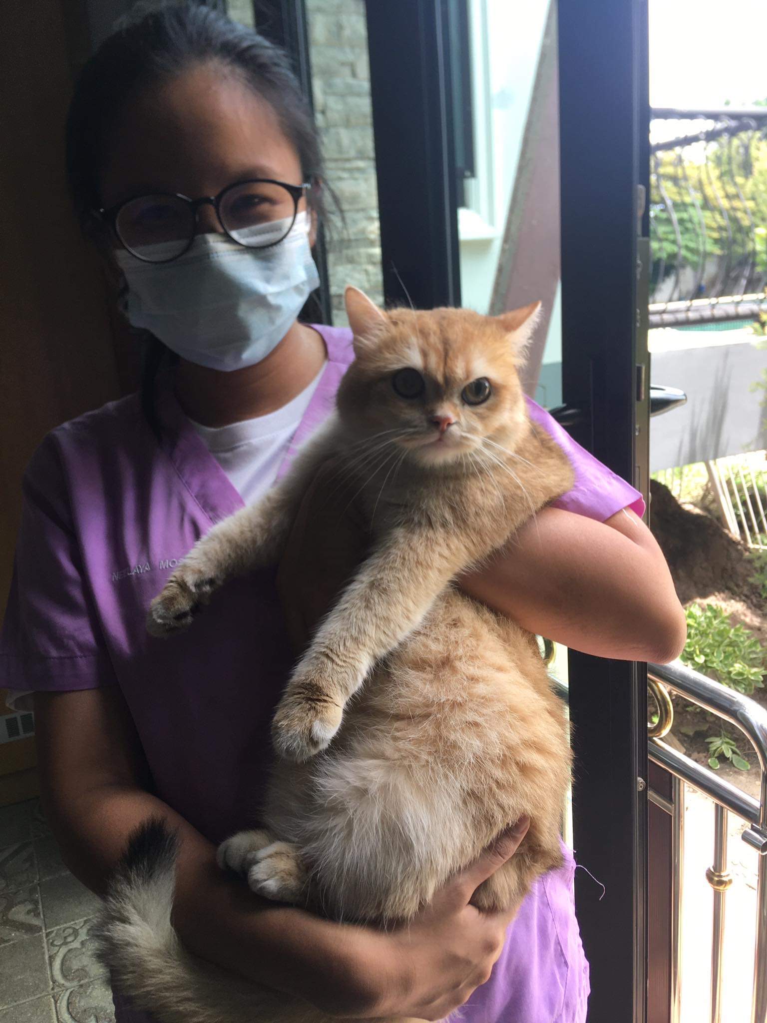 Dr. Buu Animal Protection Clinic