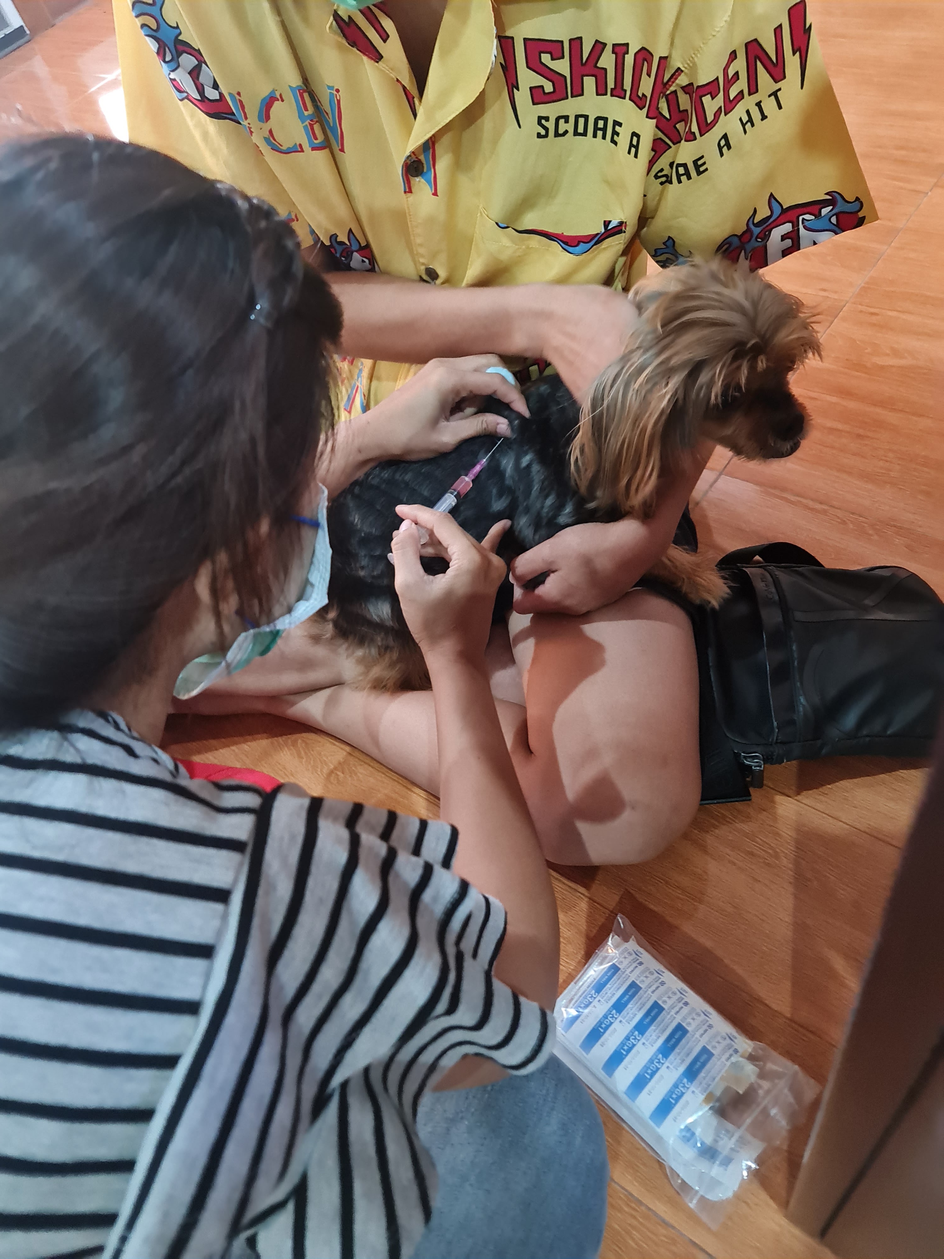Crab doctor treats animals