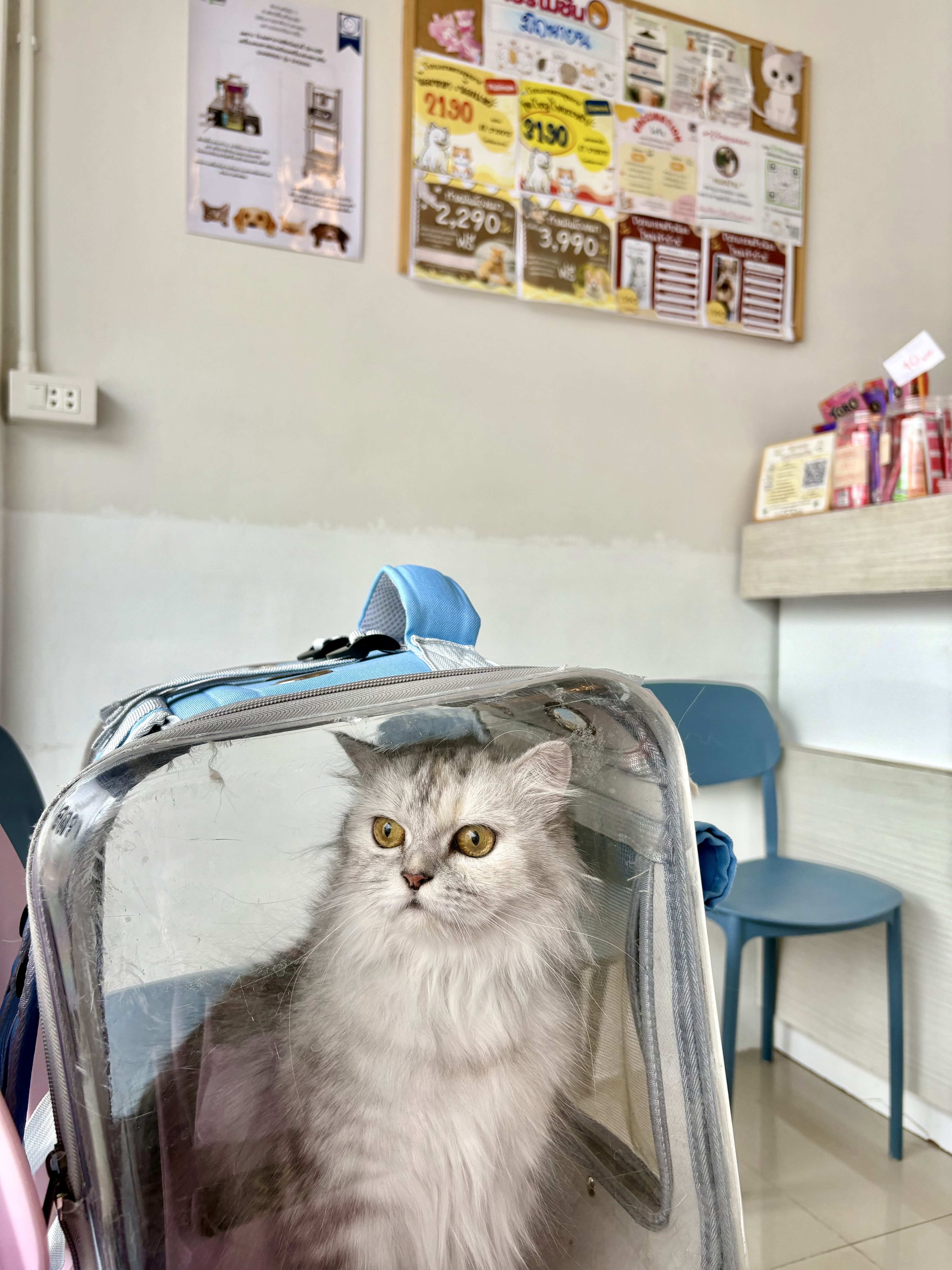 Animal Love Clinic