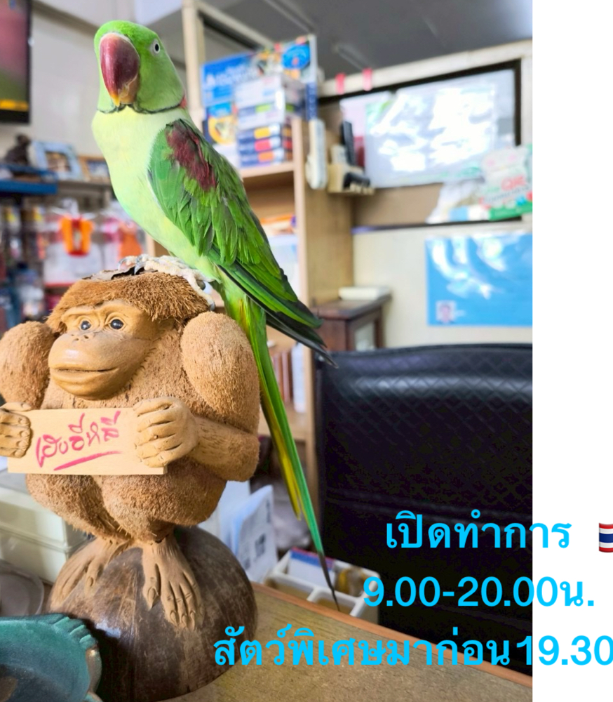 N.K. Veterinarian, Poultry and Mammal Specialty Clinic