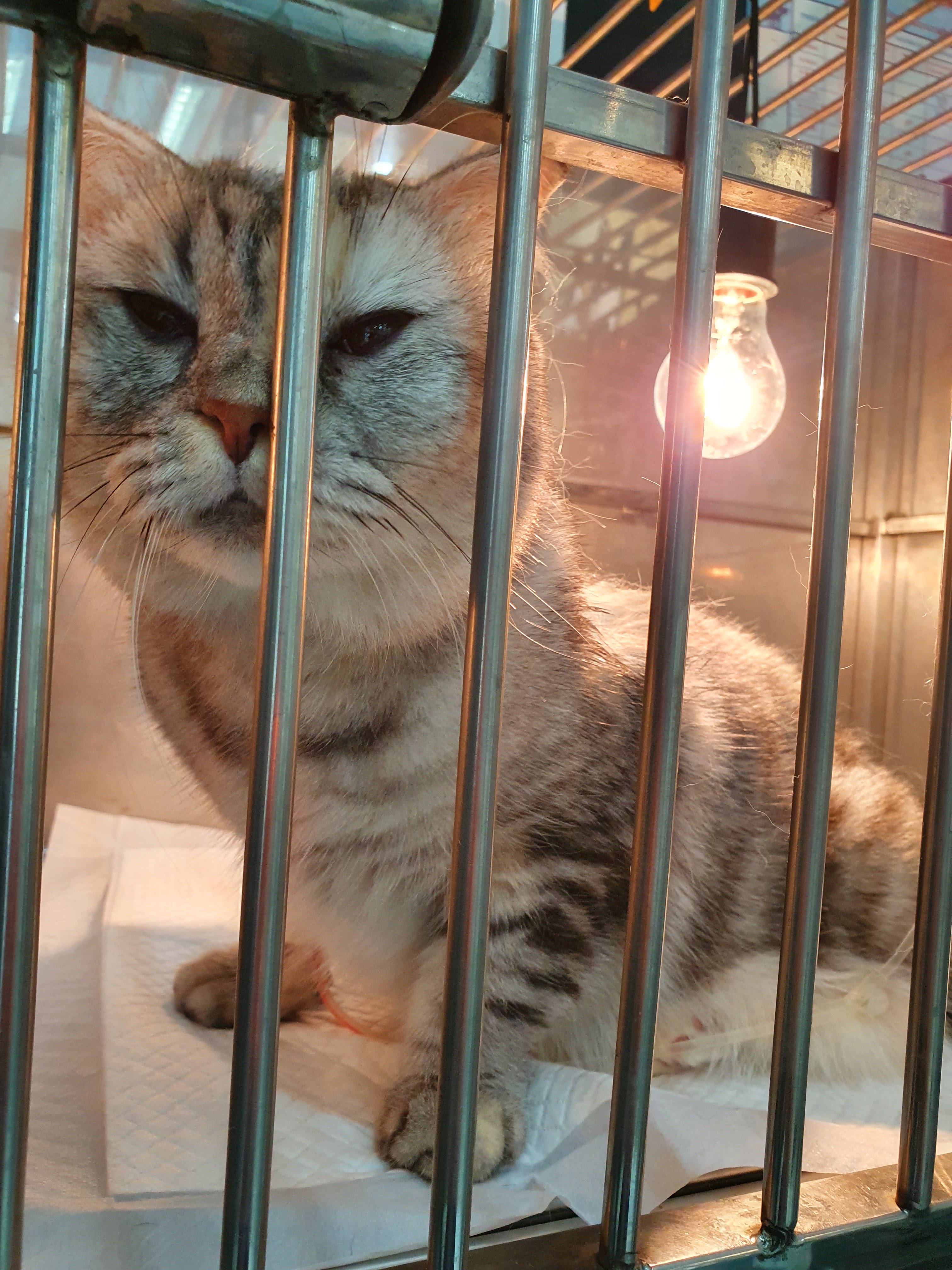 Savings & Stun Animal Hospital