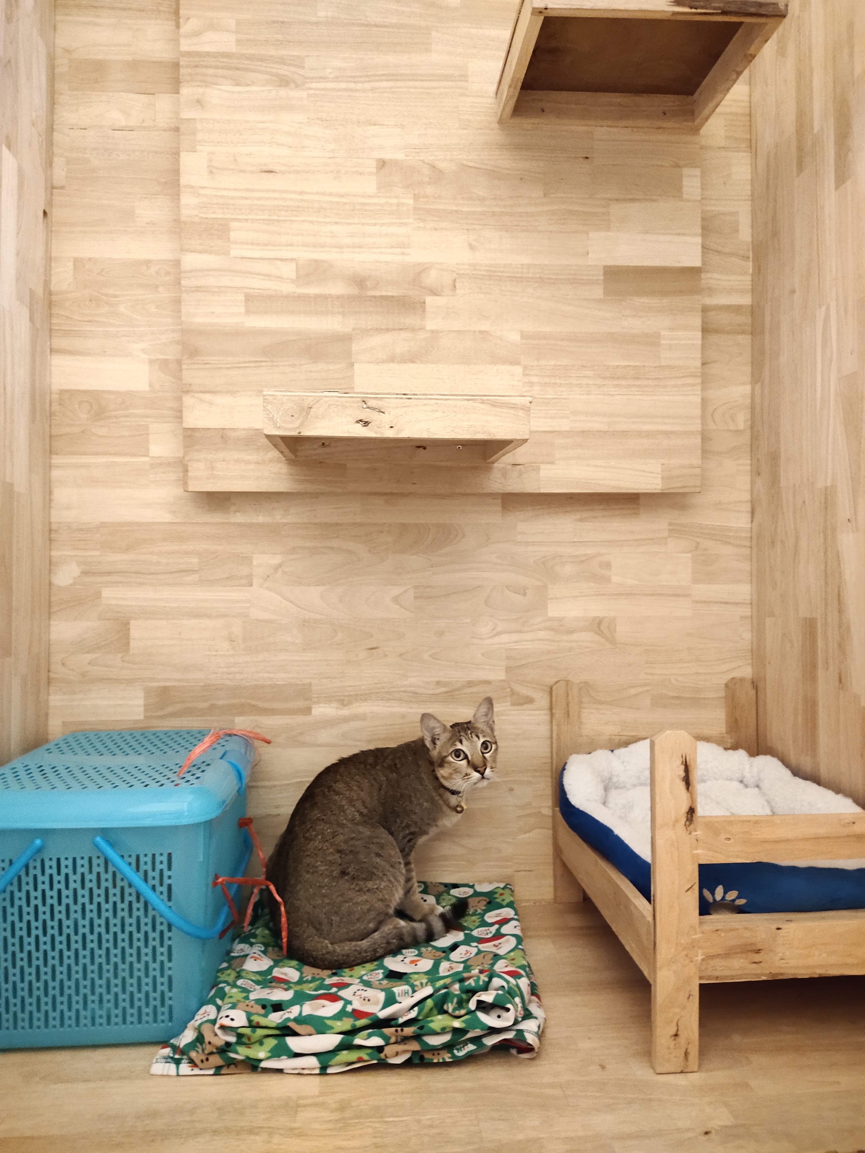 Animal Treatment Friendship Clinic