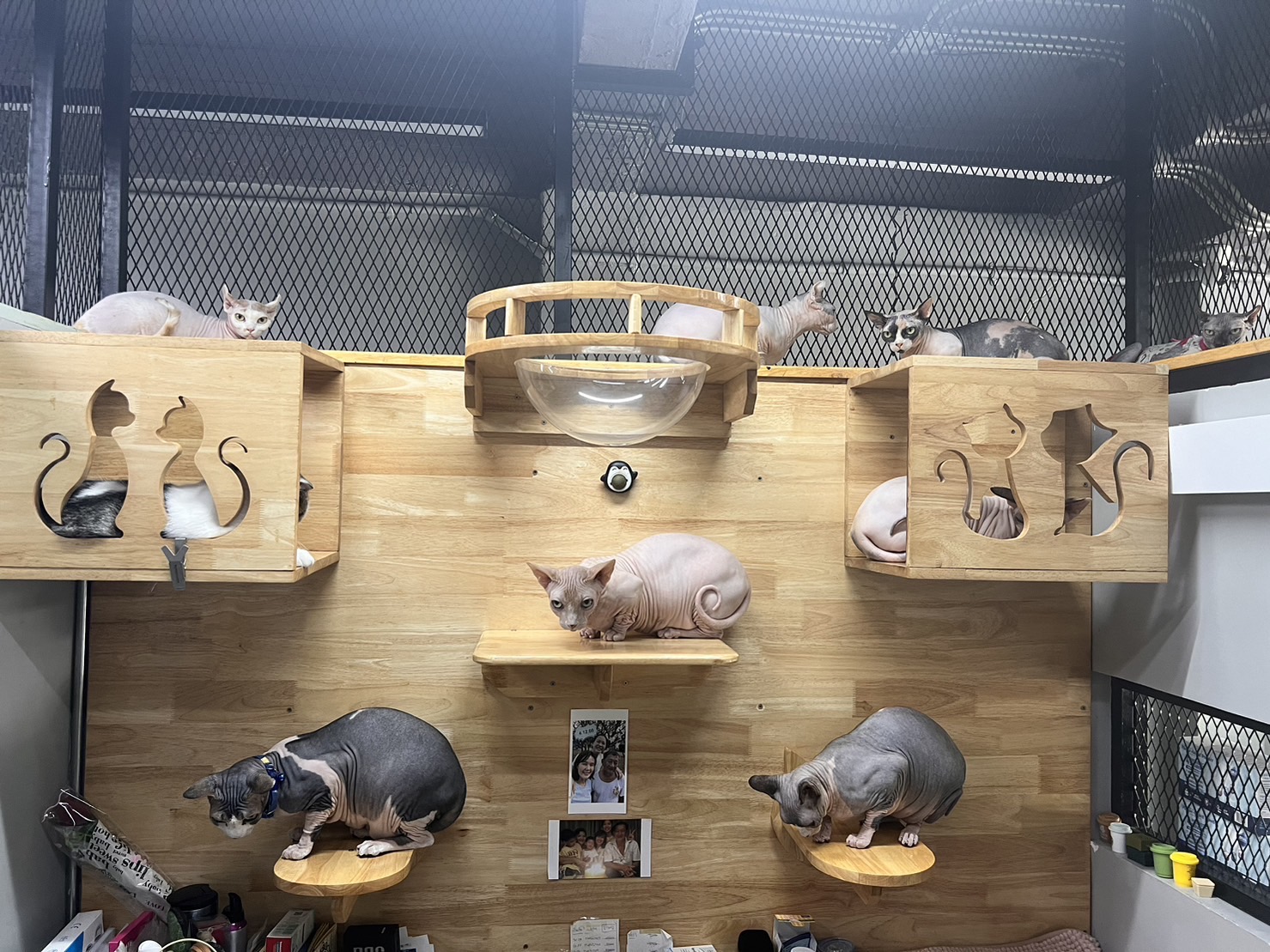 Animal Conservation House