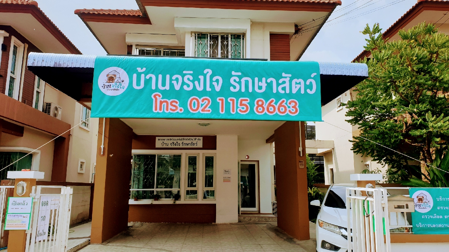 Sincere house for animal treatment