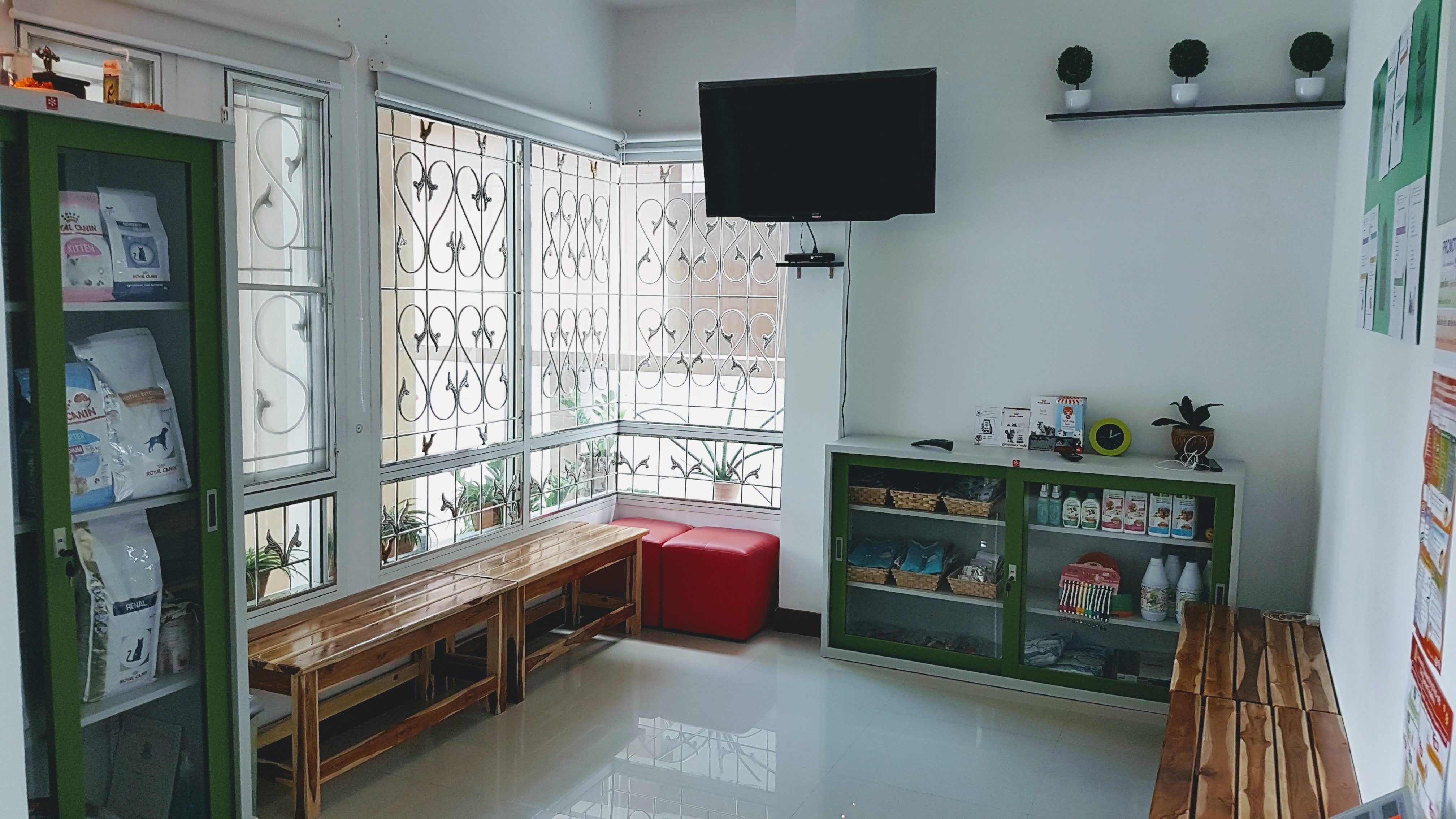 Sincere house for animal treatment