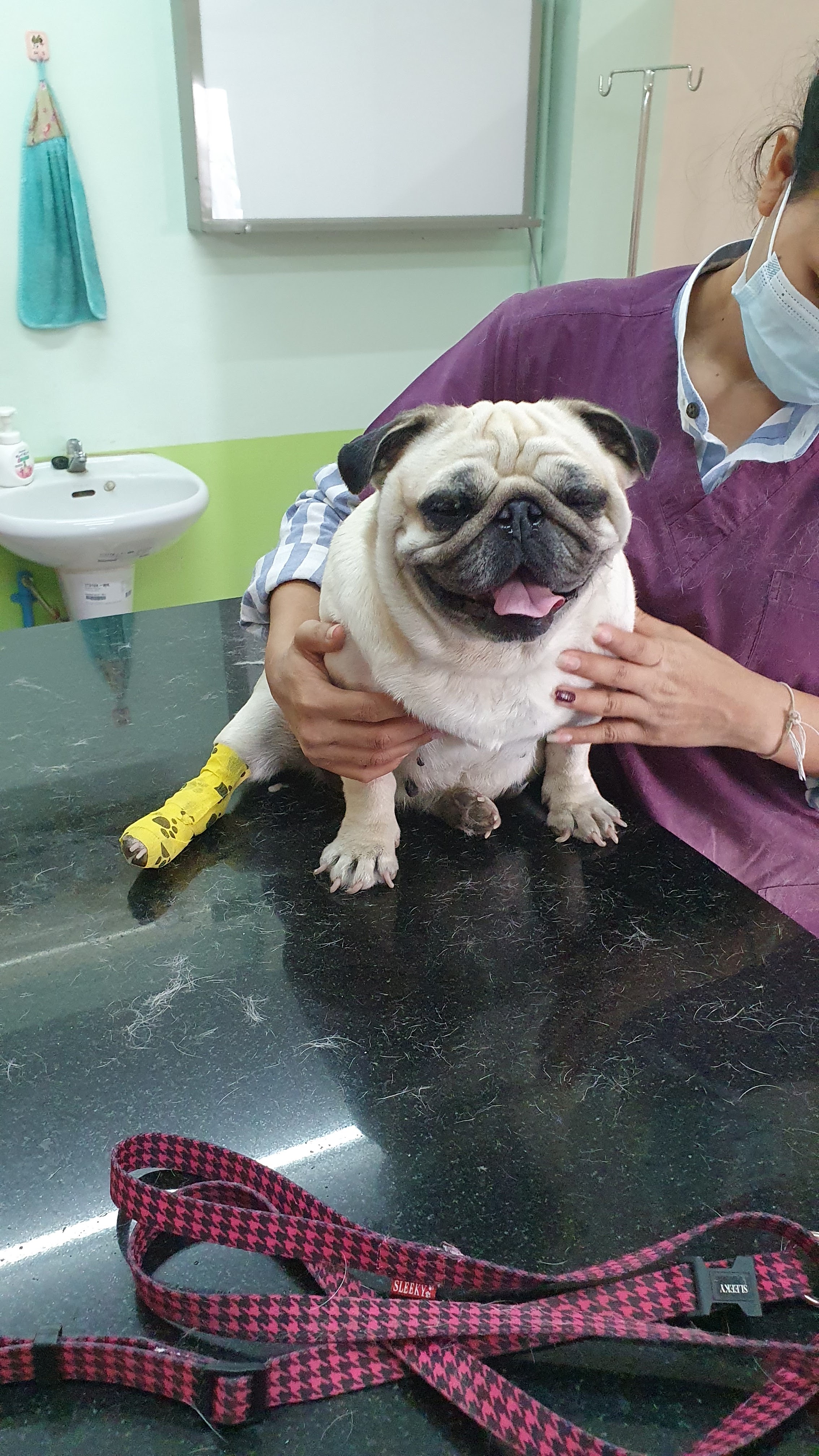 Romklao Animal Hospital