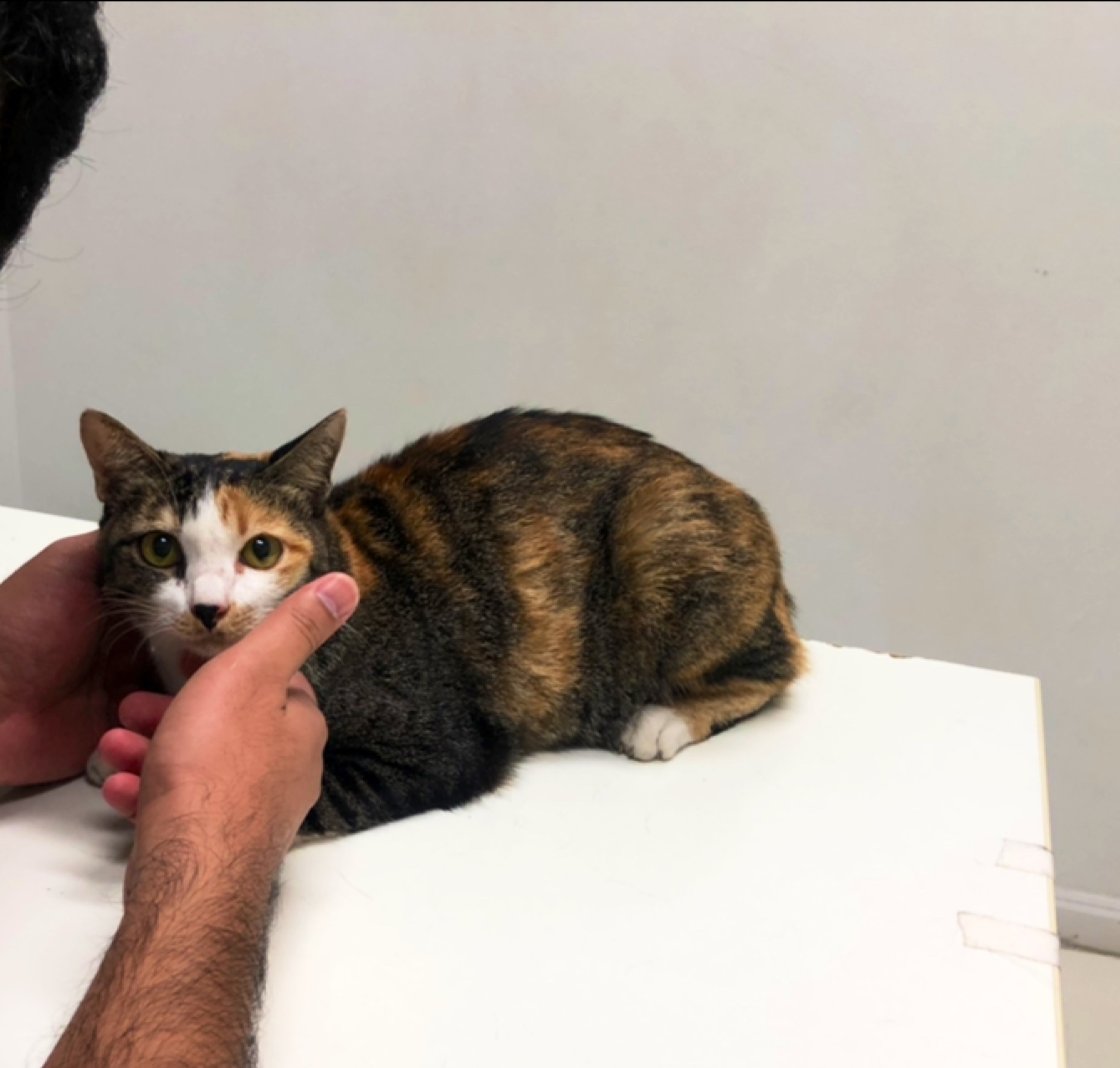 Baan Rak Animal Clinic