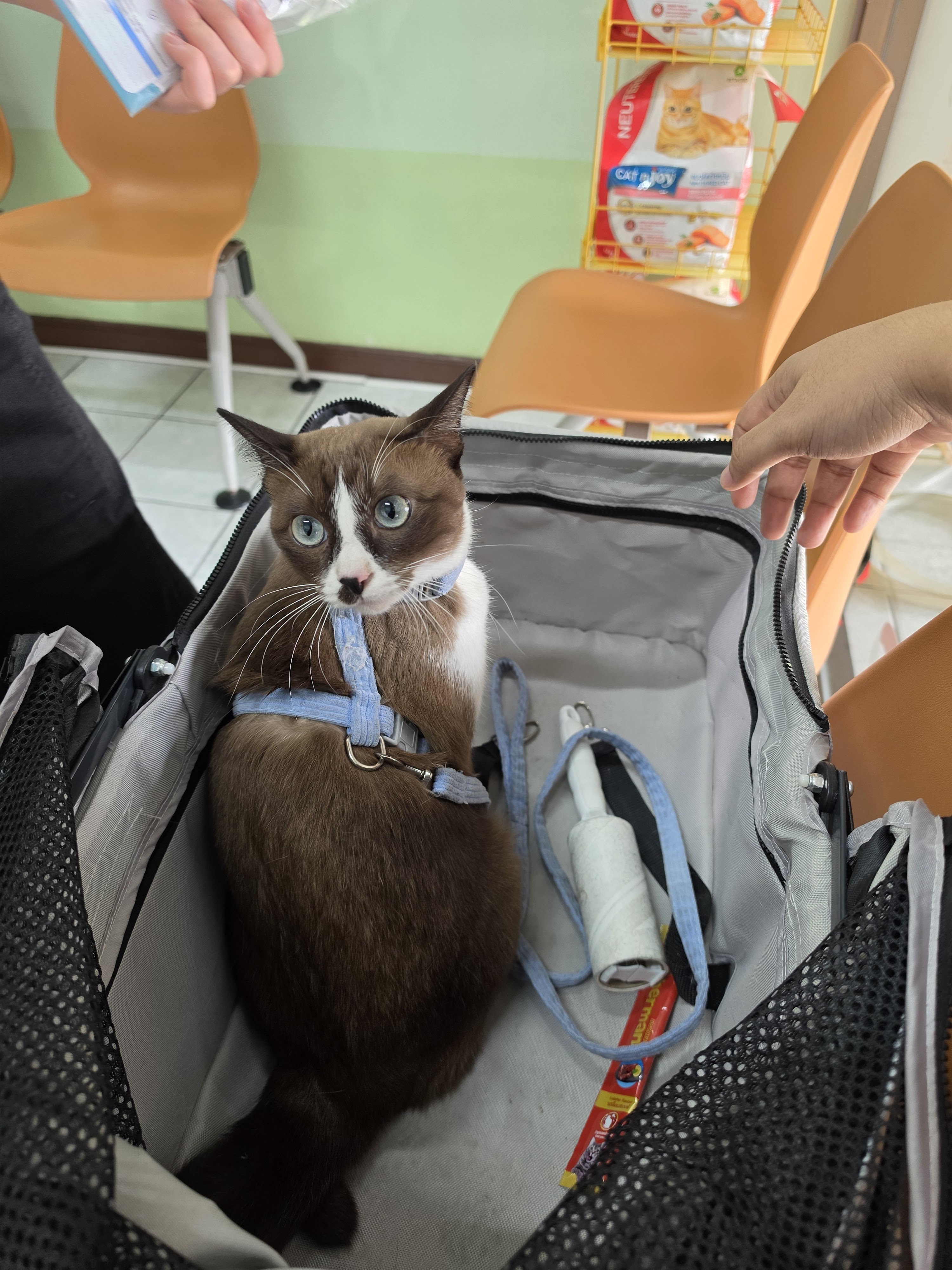 Srisuk Veterinarian