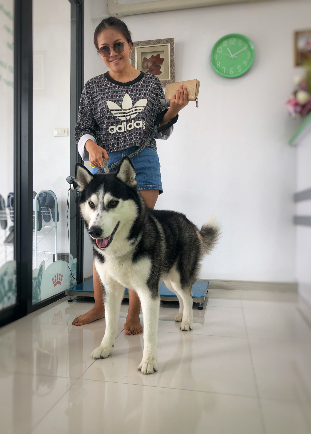 Lovepet Animal Treatment
