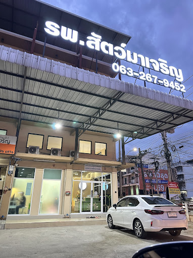 Macharoen Animal Hospital