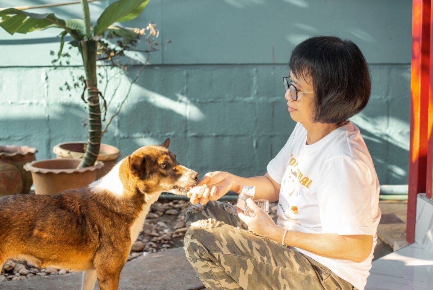 Phra Khanong Veterinary Clinic Sukhumvit Branch