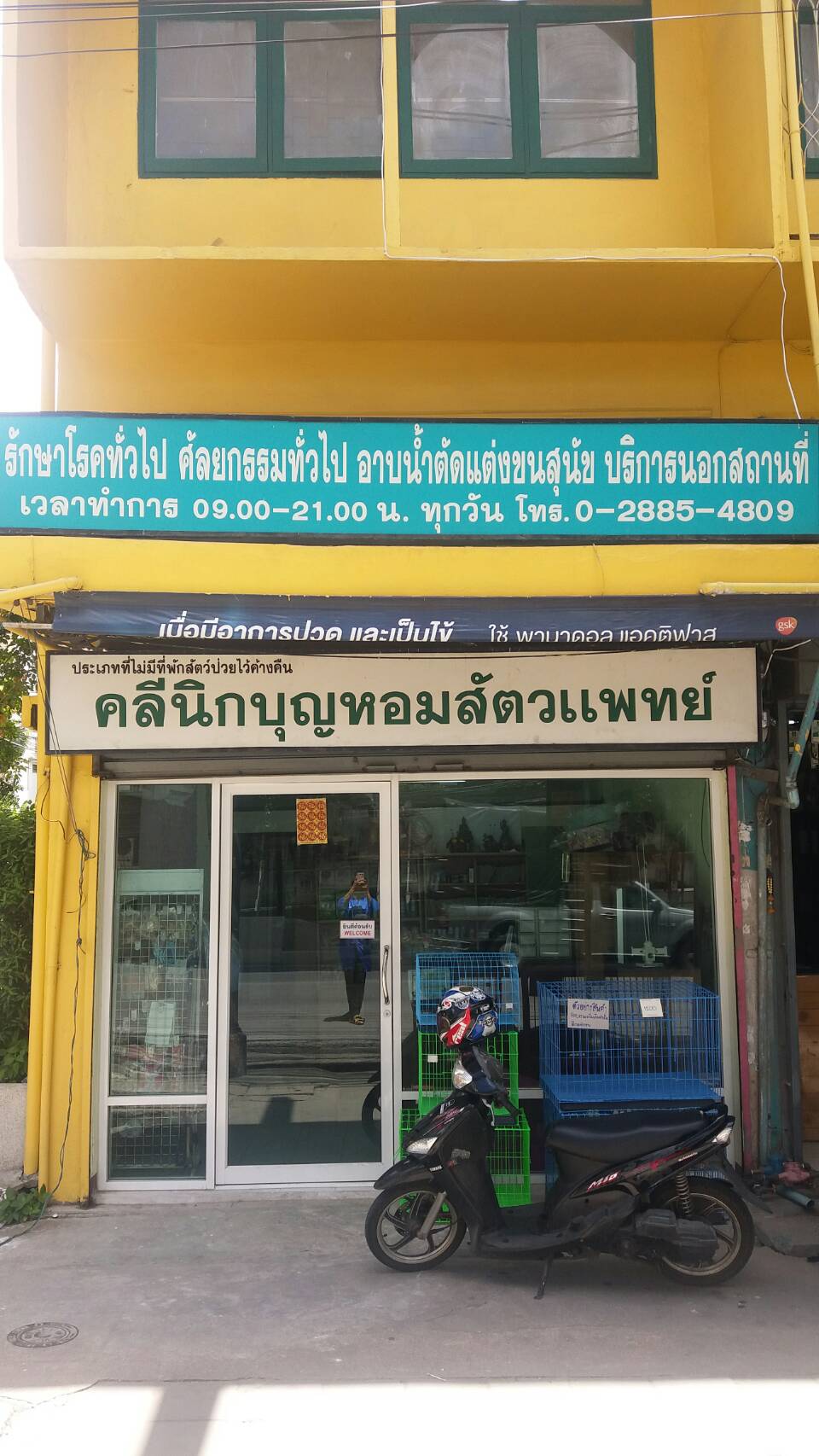 Boon Hom Veterinarian