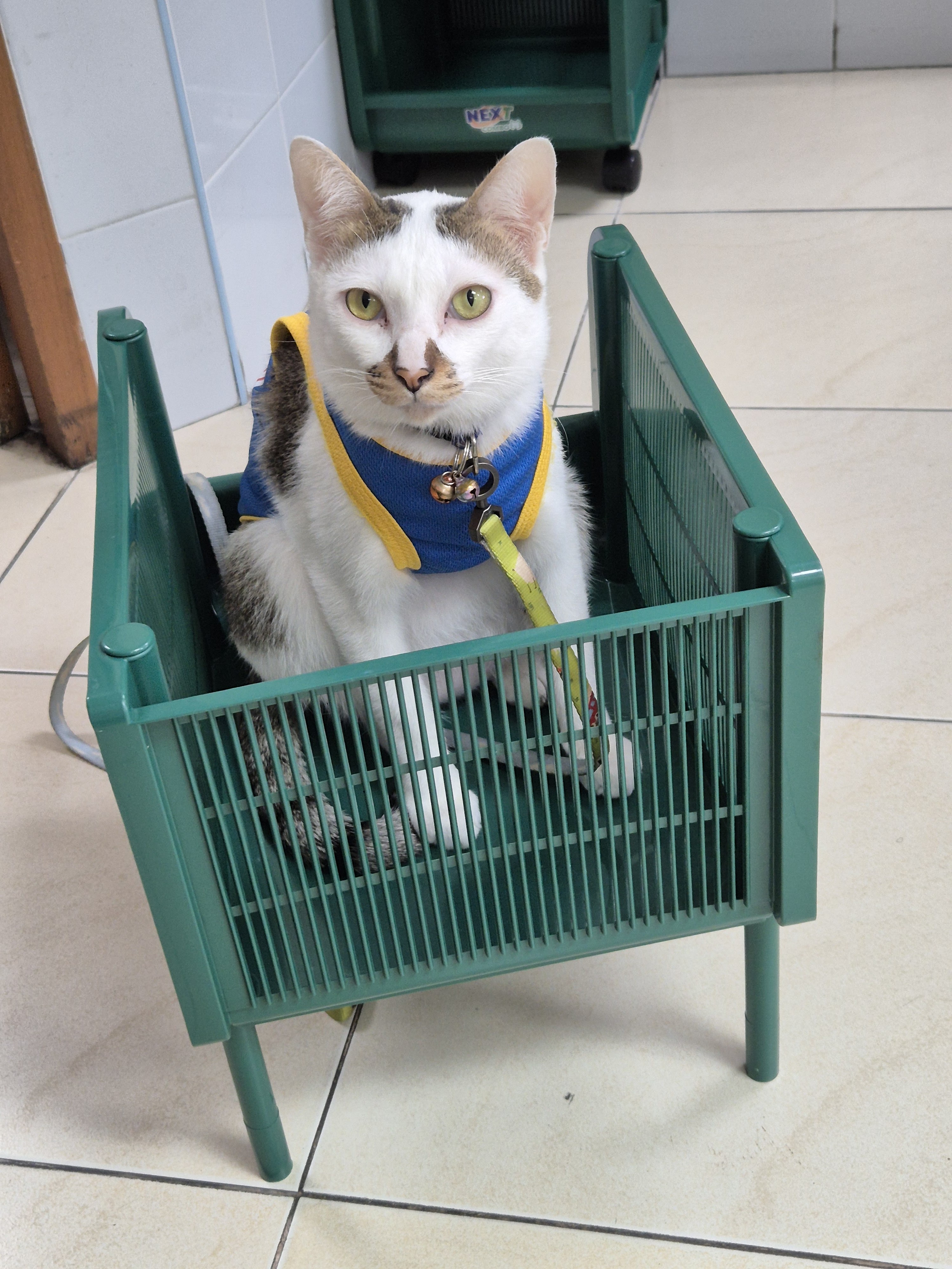 Ratchaphruek Animal Hospital