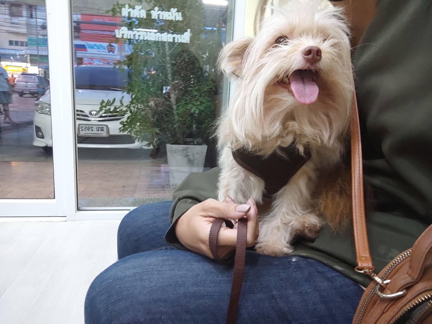 Thai Raman Veterinary Clinic