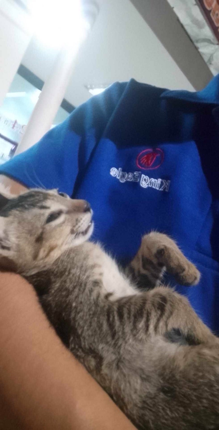 Nang Loeng Animal Clinic
