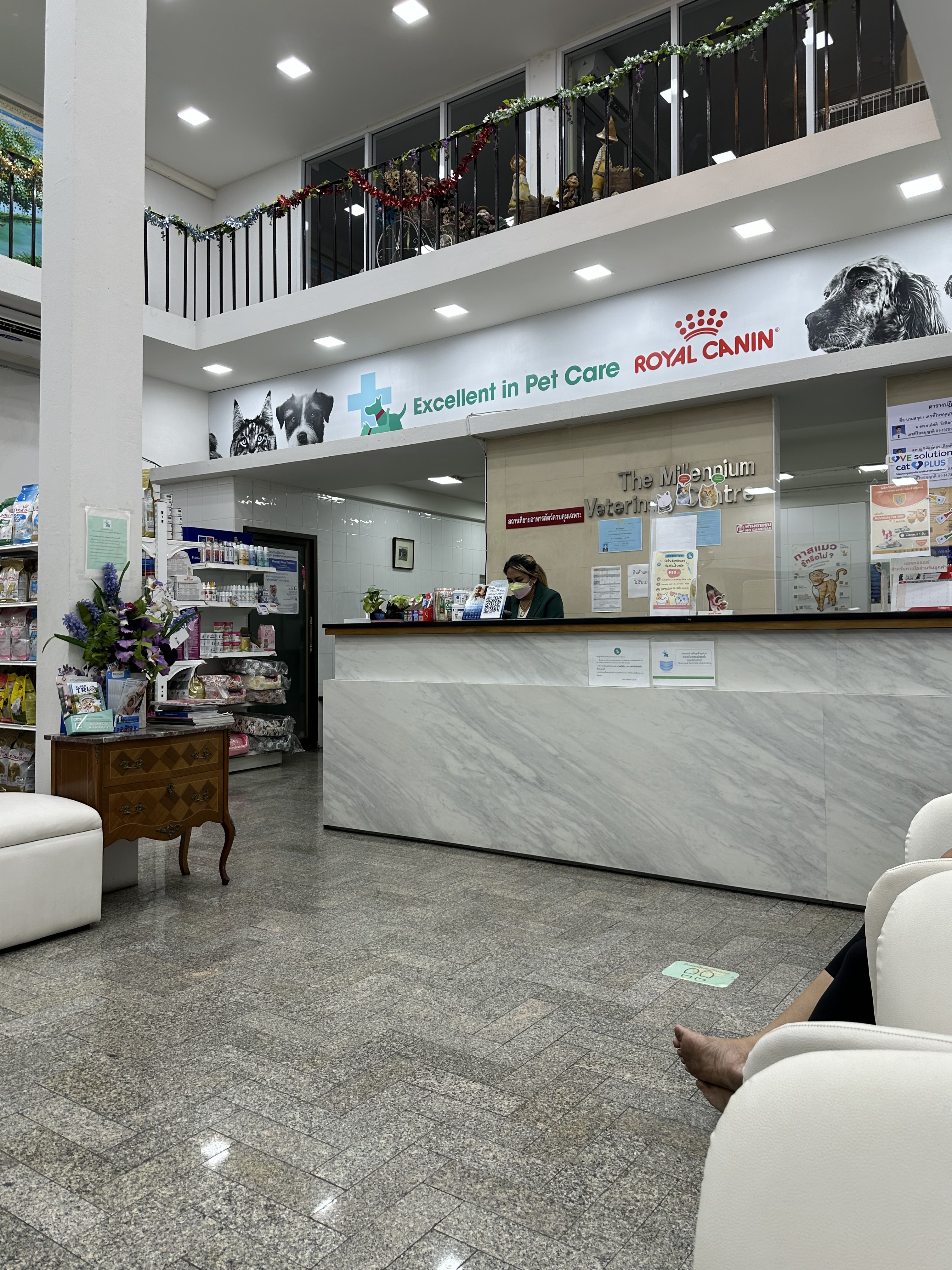 Bangkok-Non Animal Hospital Millennium Branch