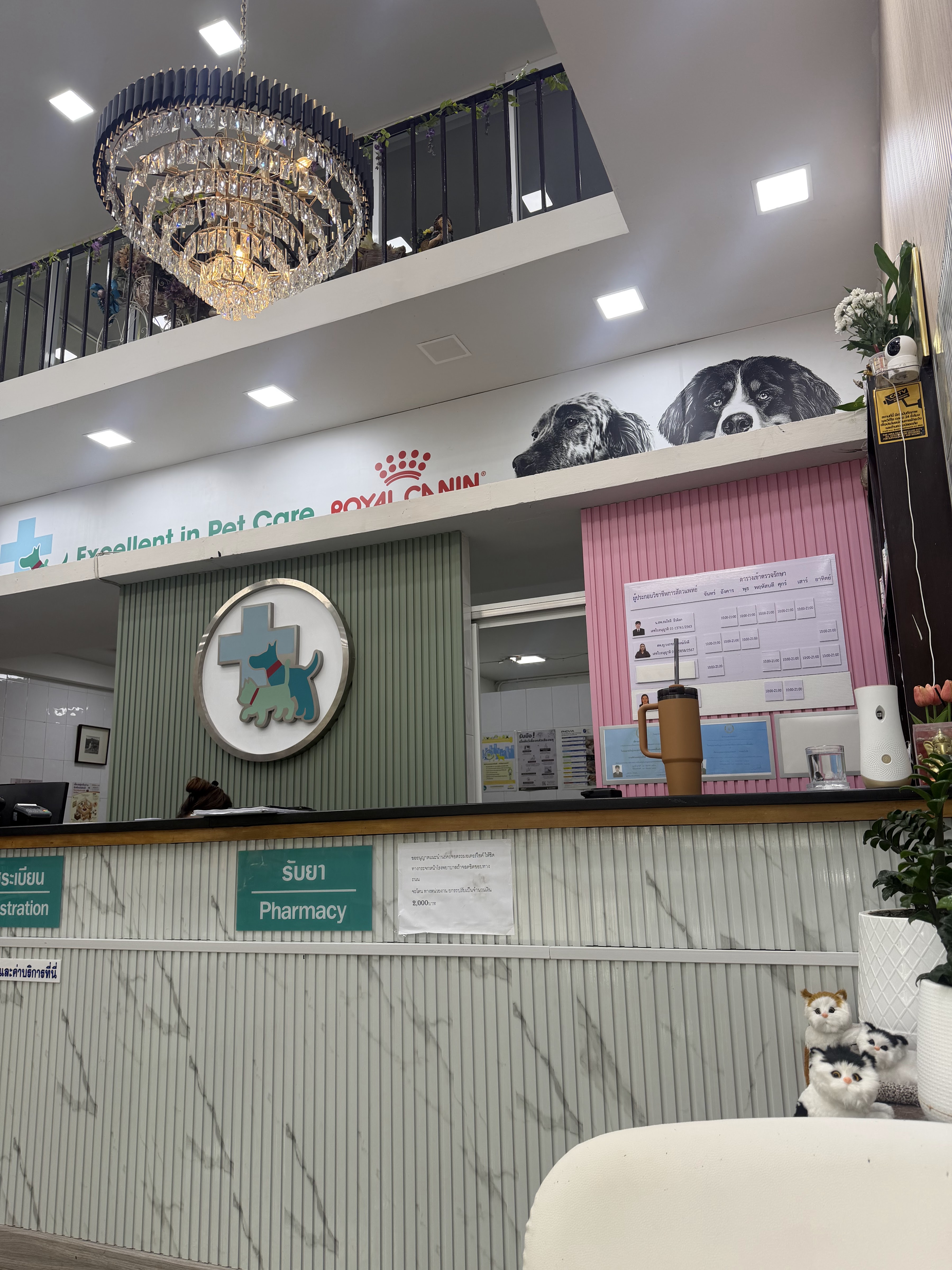 Bangkok-Non Animal Hospital Millennium Branch