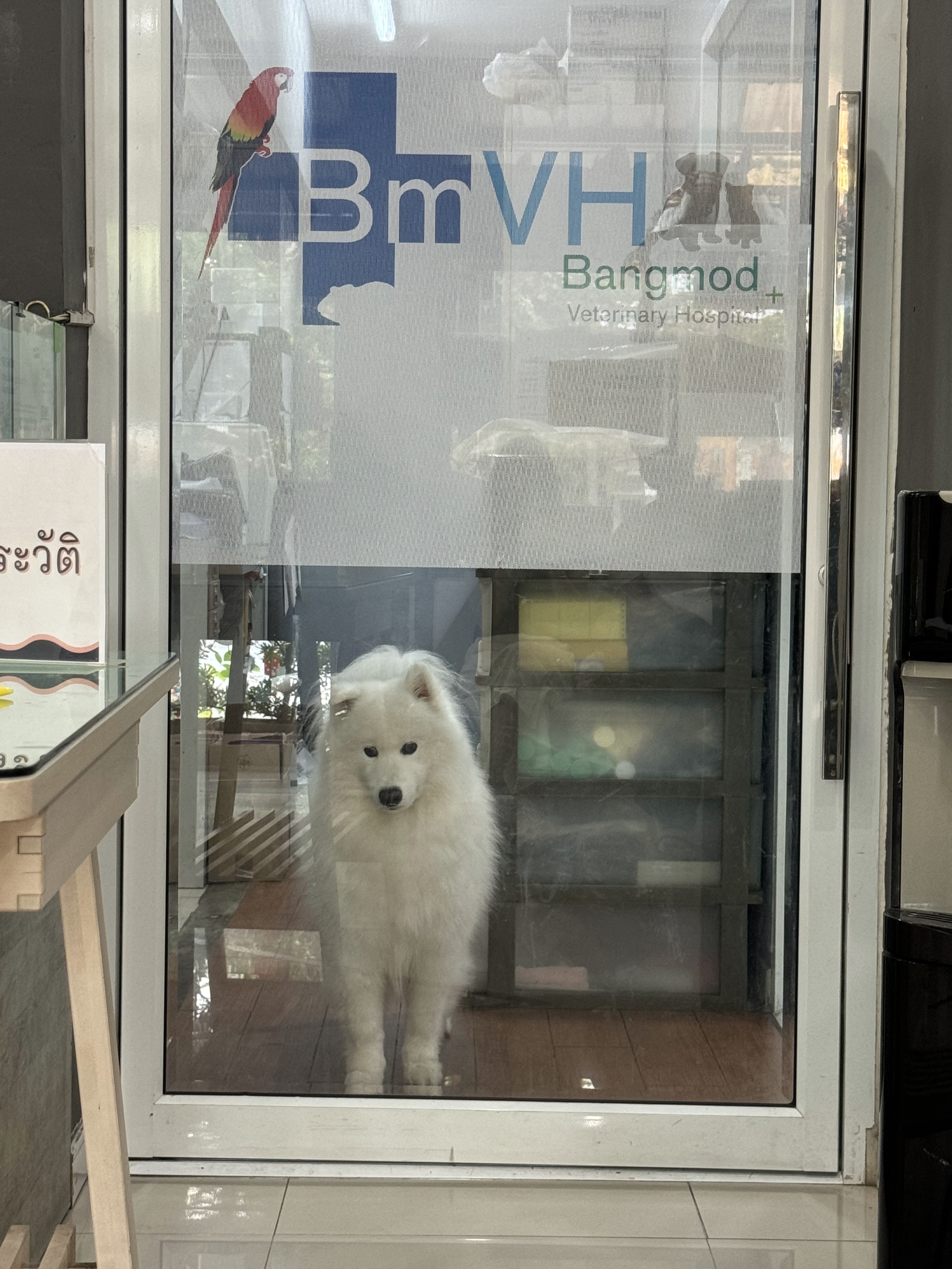 Bangmod Veterinary Animal Hospital (Treat Beautiful Poultry / Dogs / Cats / Rabbits / Turtles / Reptiles and Others)