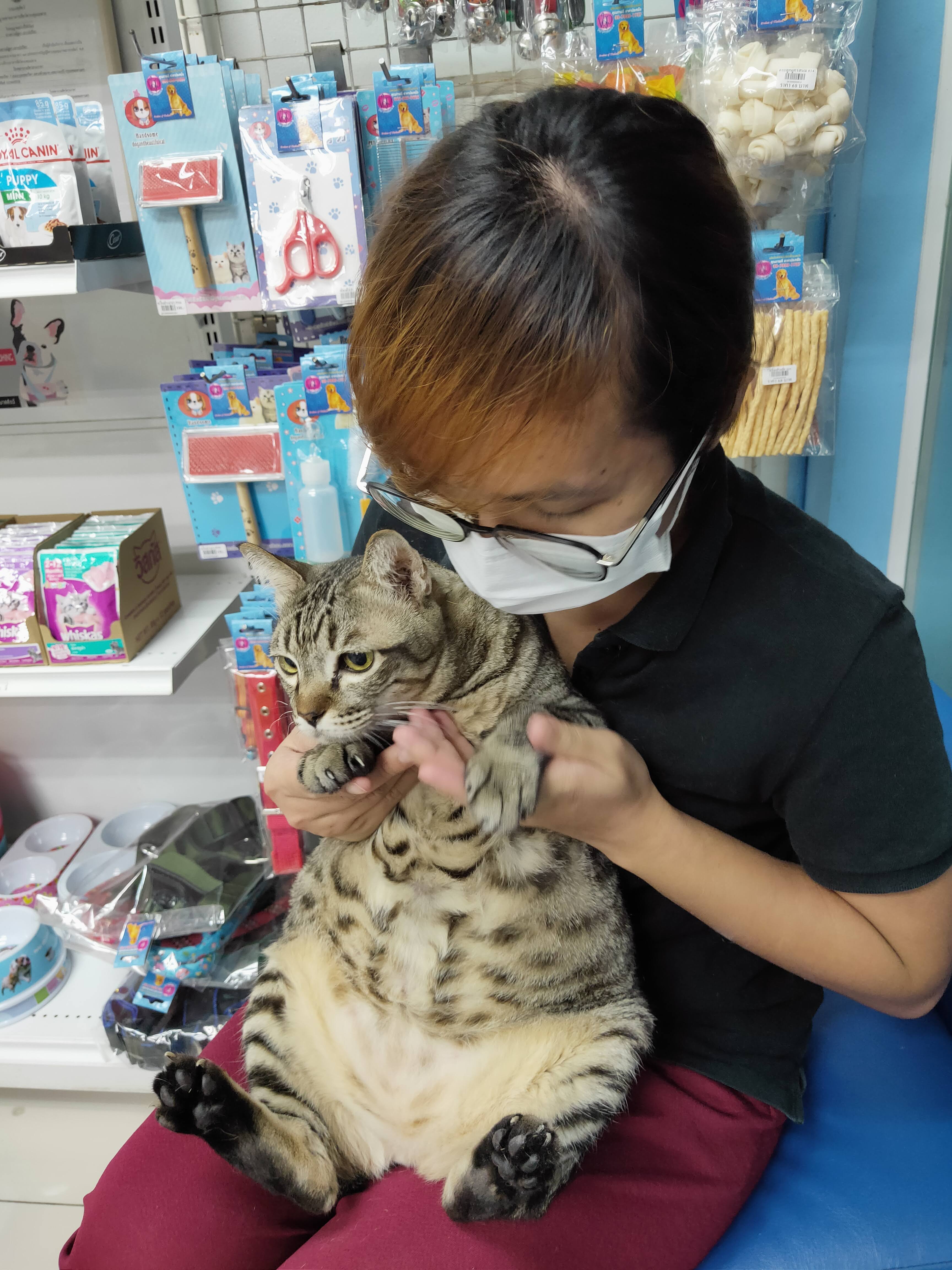 Suan Racha Animal Hospital