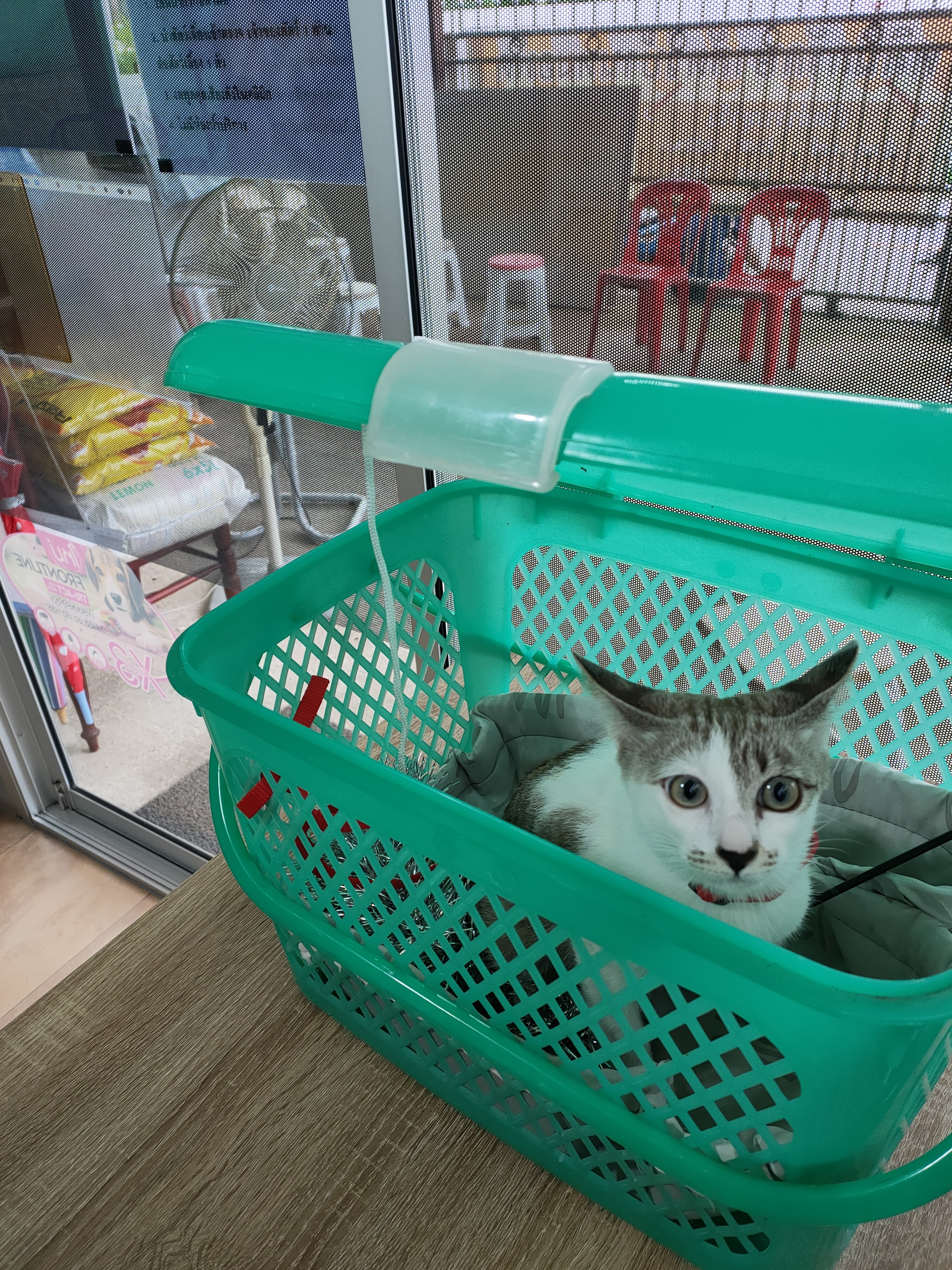 Animal Clinic at Dr. Phat House