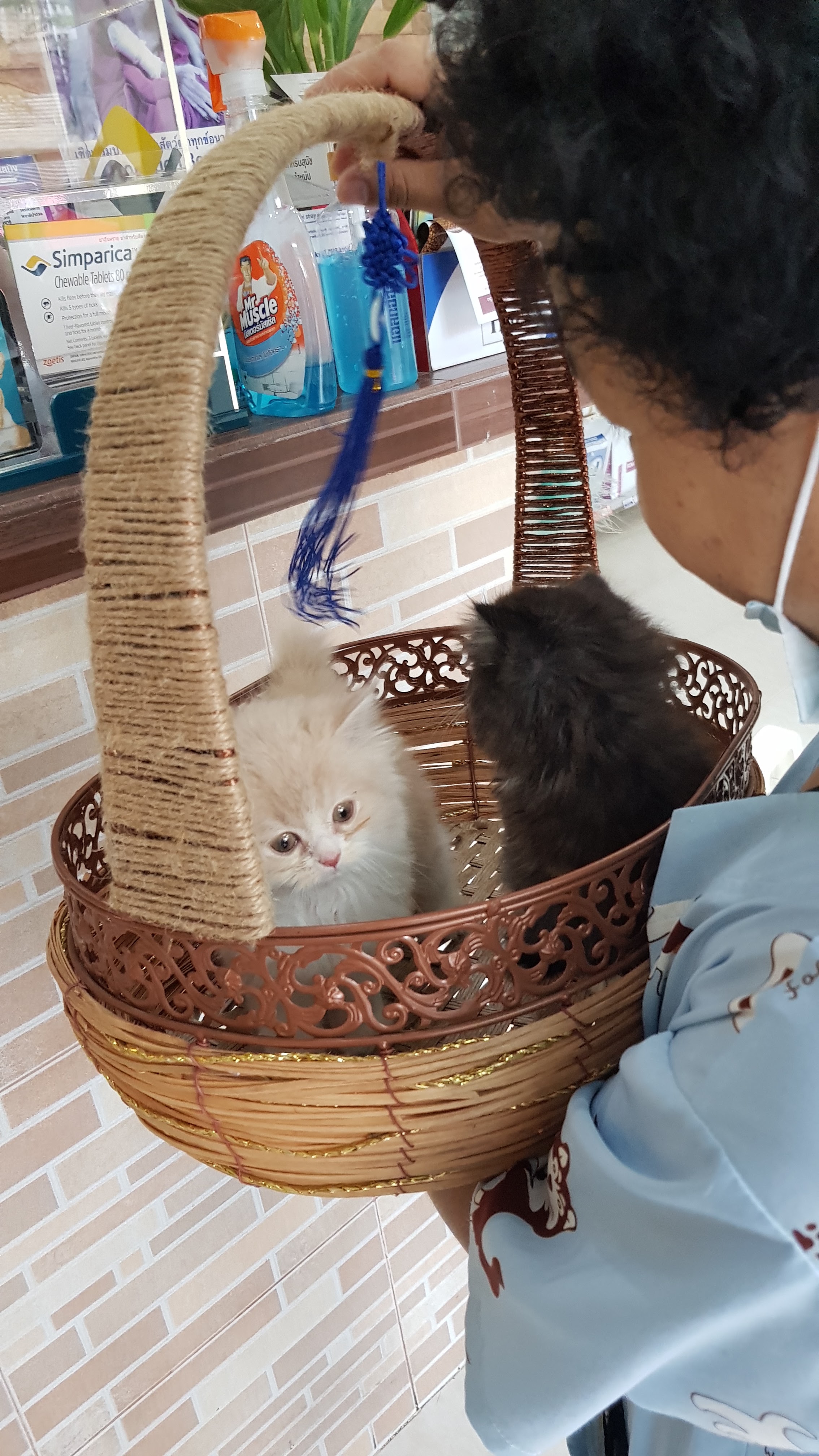 Wansai Animal Hospital
