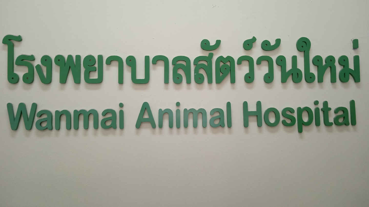 New Animal Hospital