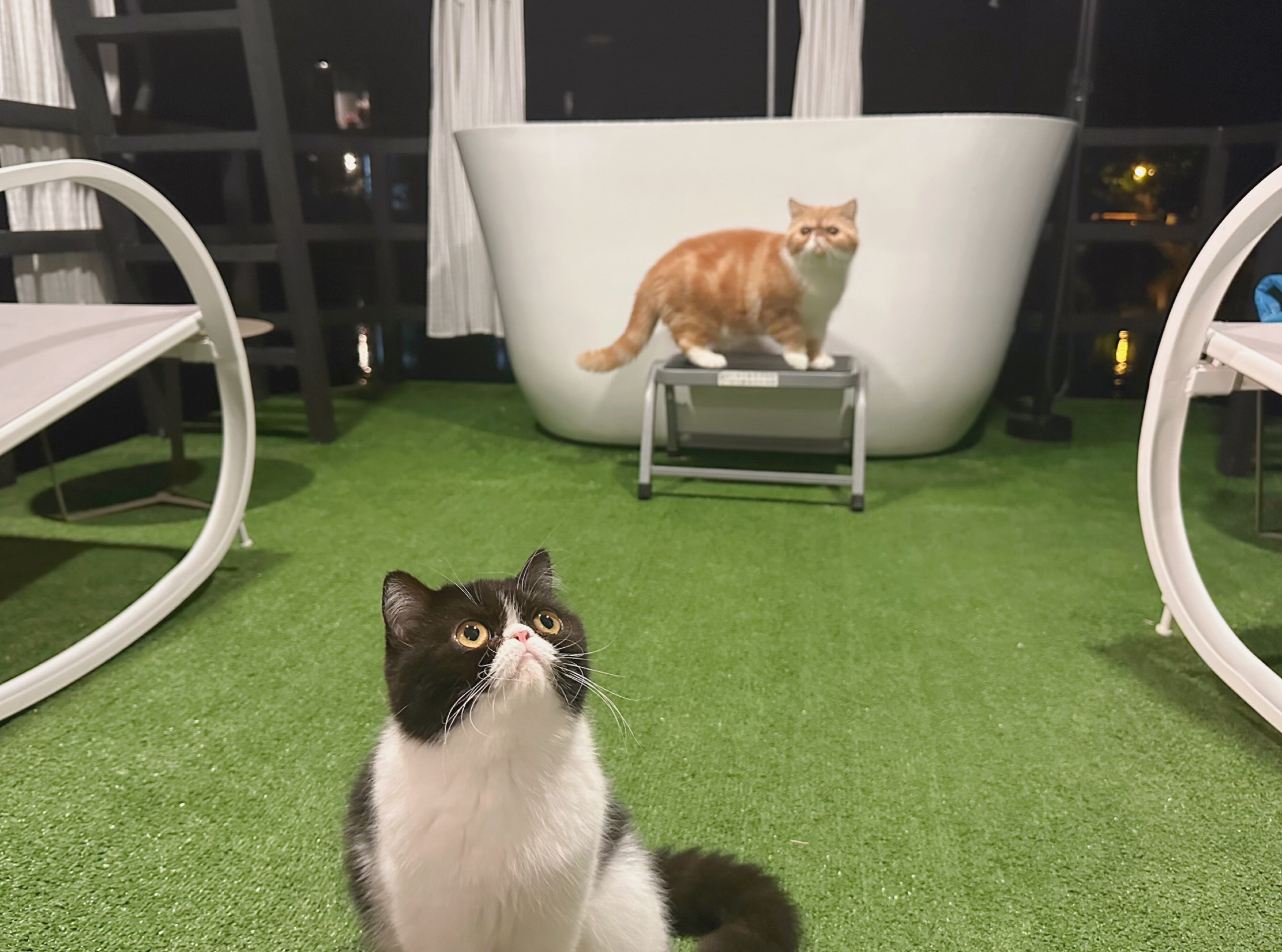 Panrak Veterinary Clinic
