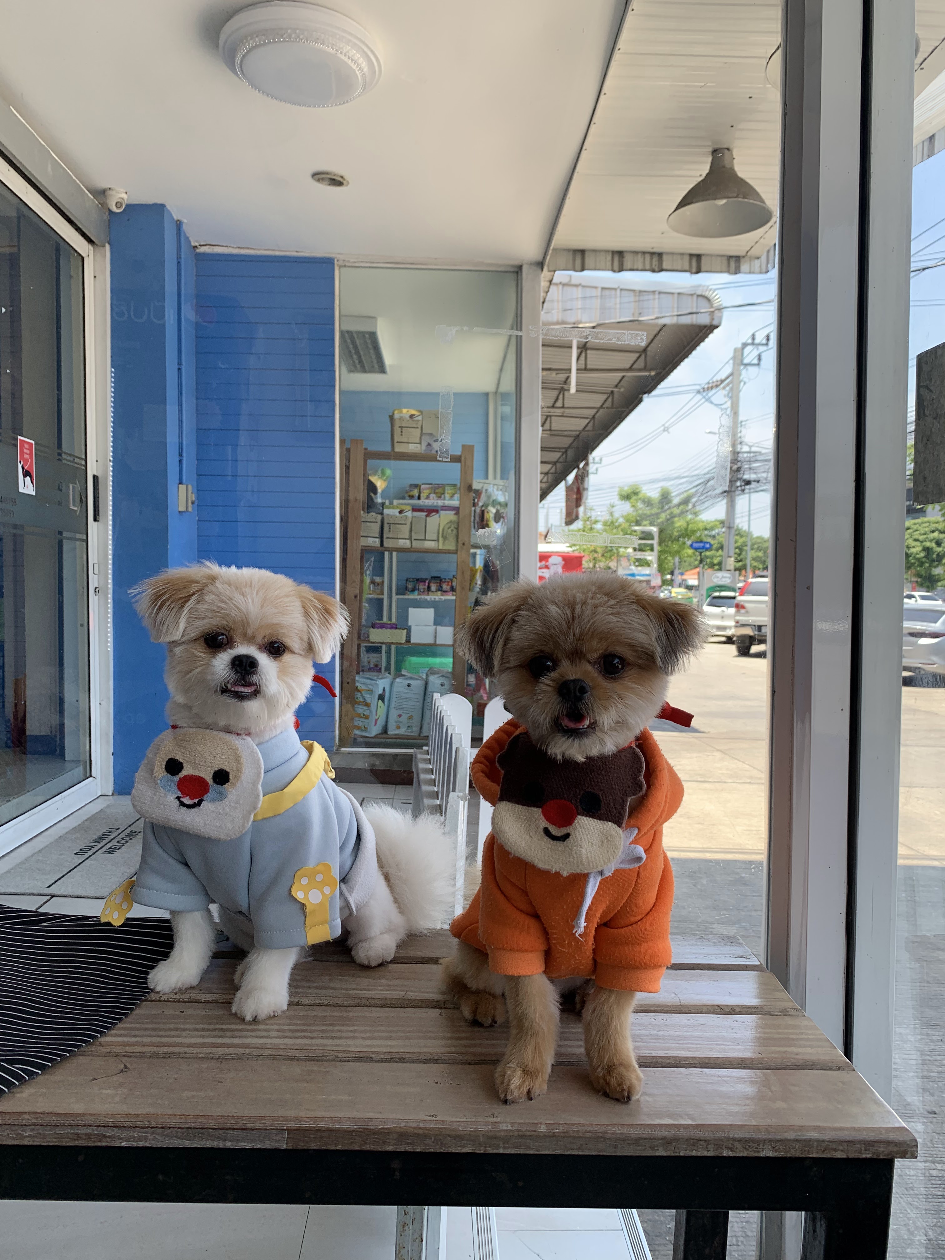Animal Protection Hospital