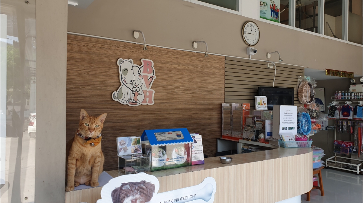 1 Bangkhae Vet Hospital