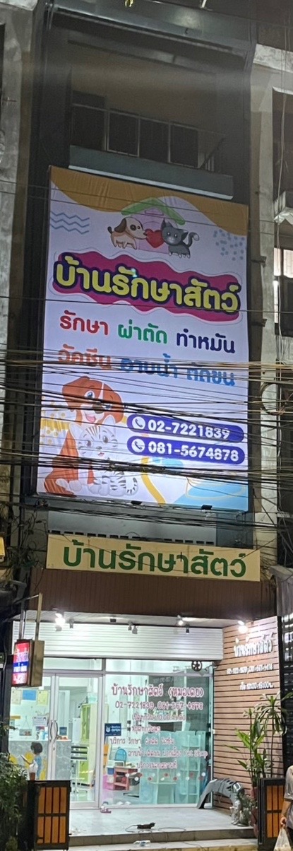 66