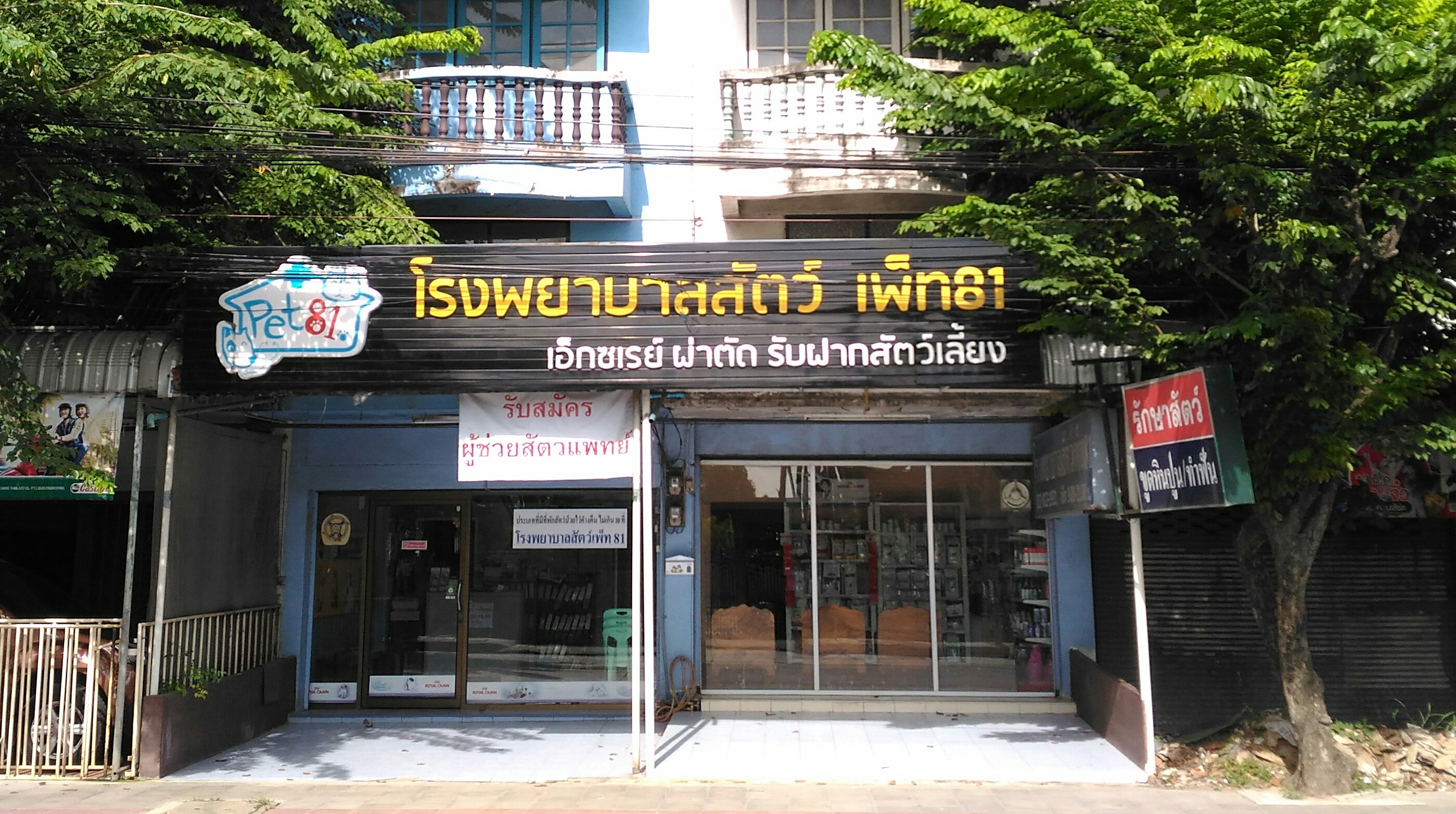 81