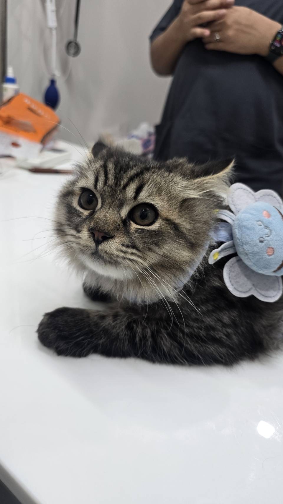 888 Pet Clinic
