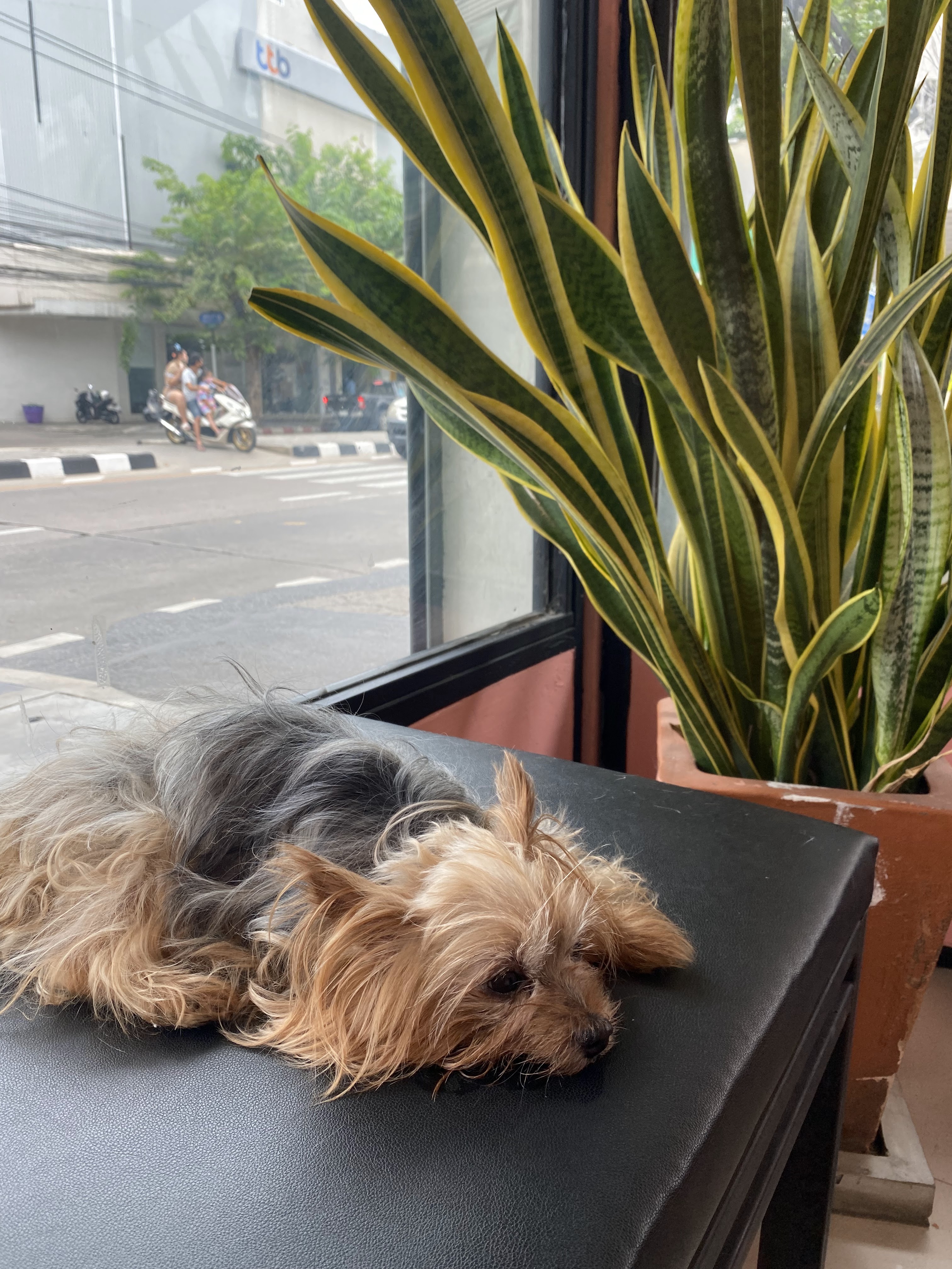 Ake's Veterinarian Clinic