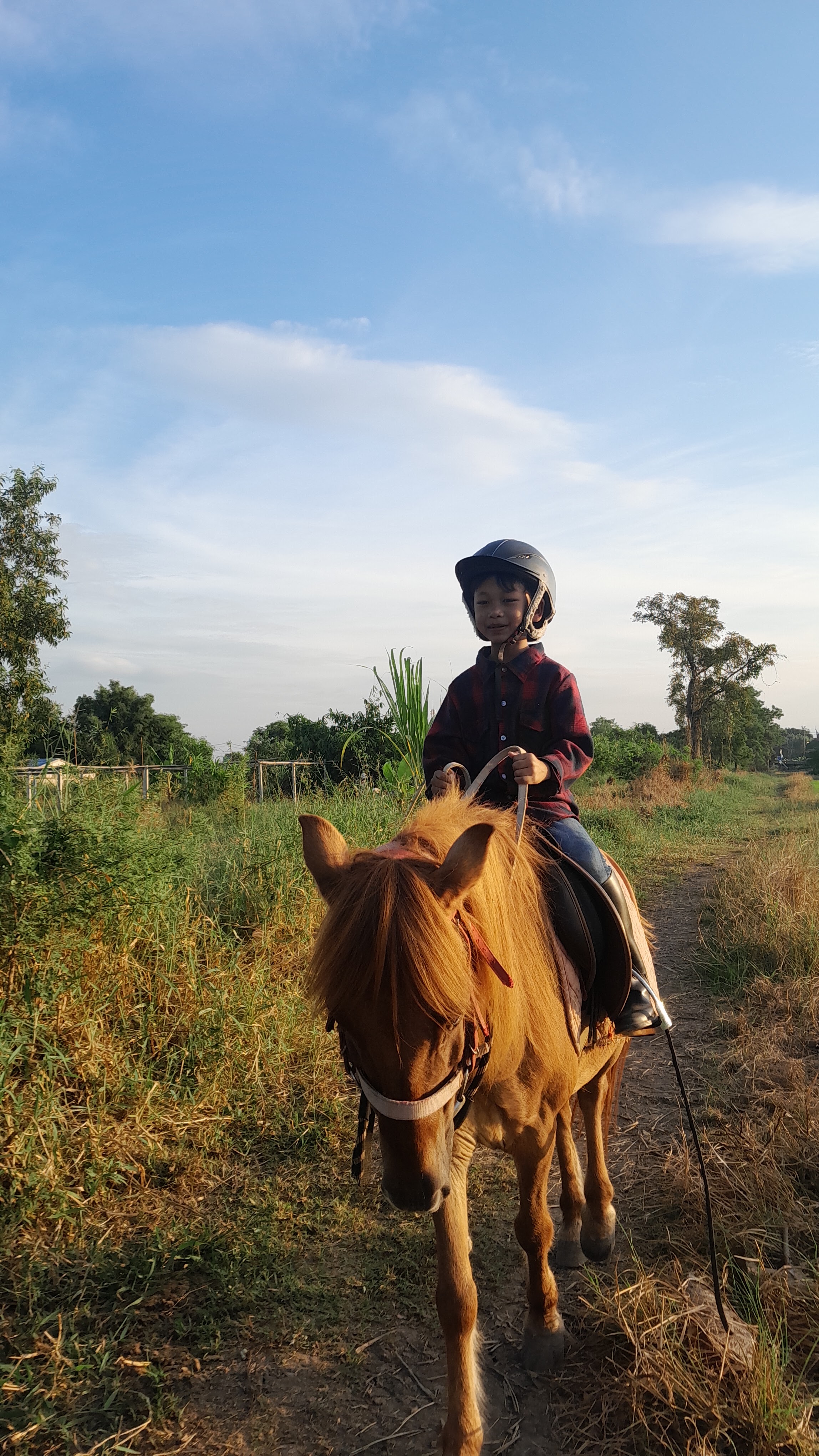 Amin Horse Riding Course