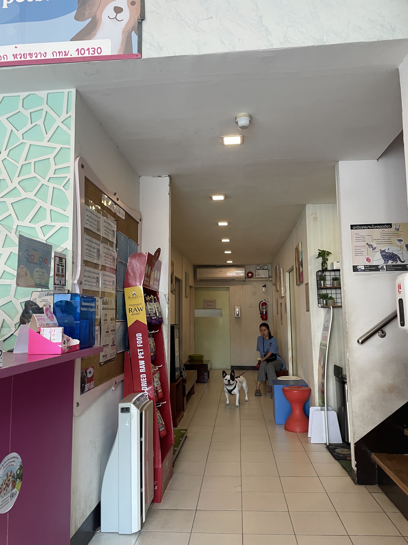 Animal Hospital Bangkok - Ratchada