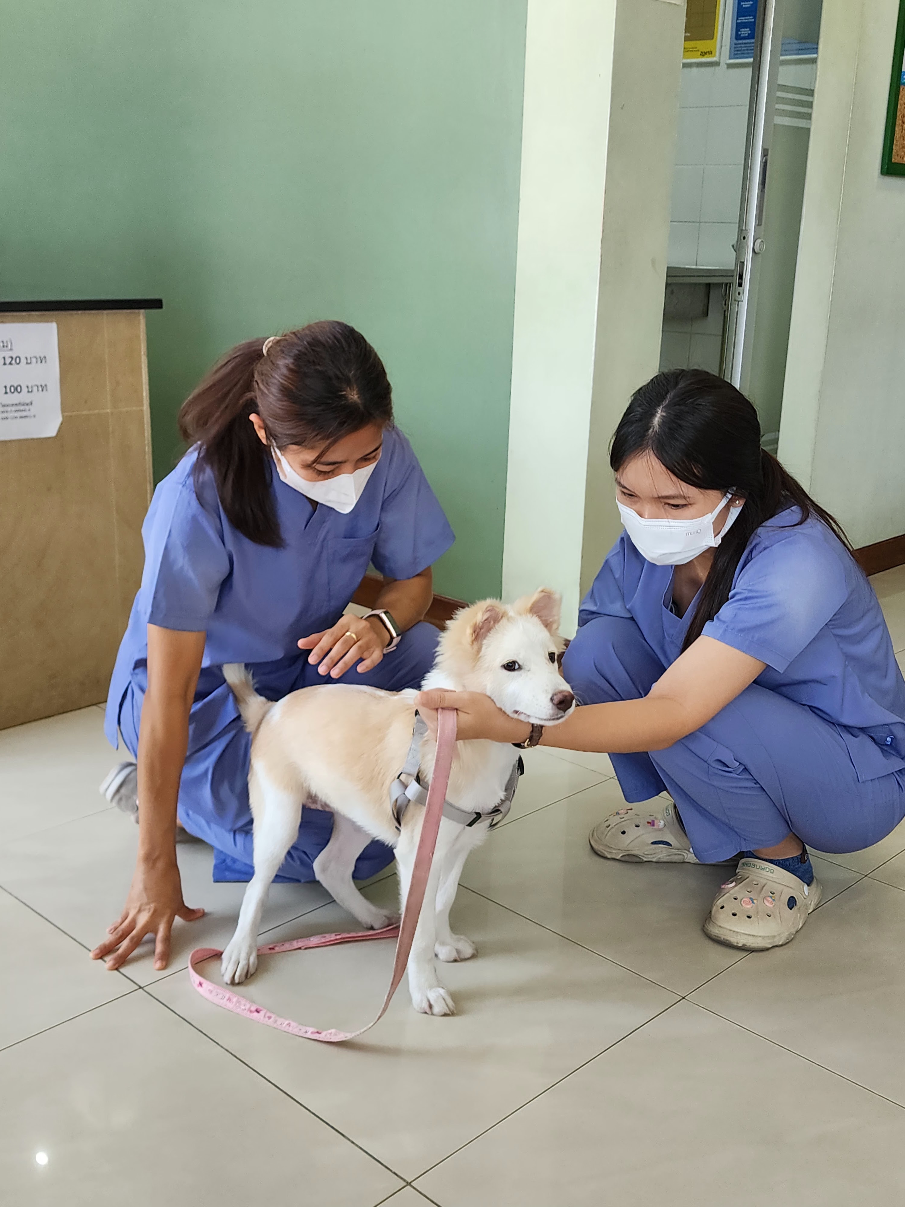 Animal Hospital Khubon