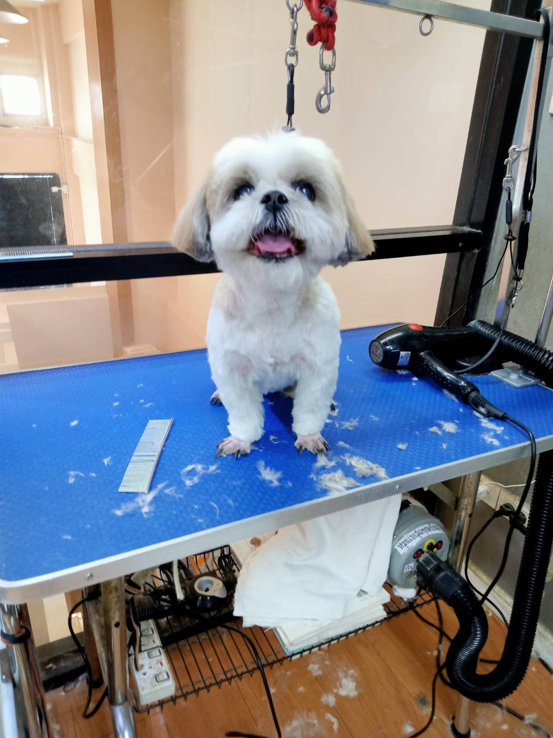 Animal Hospital Pet Secret