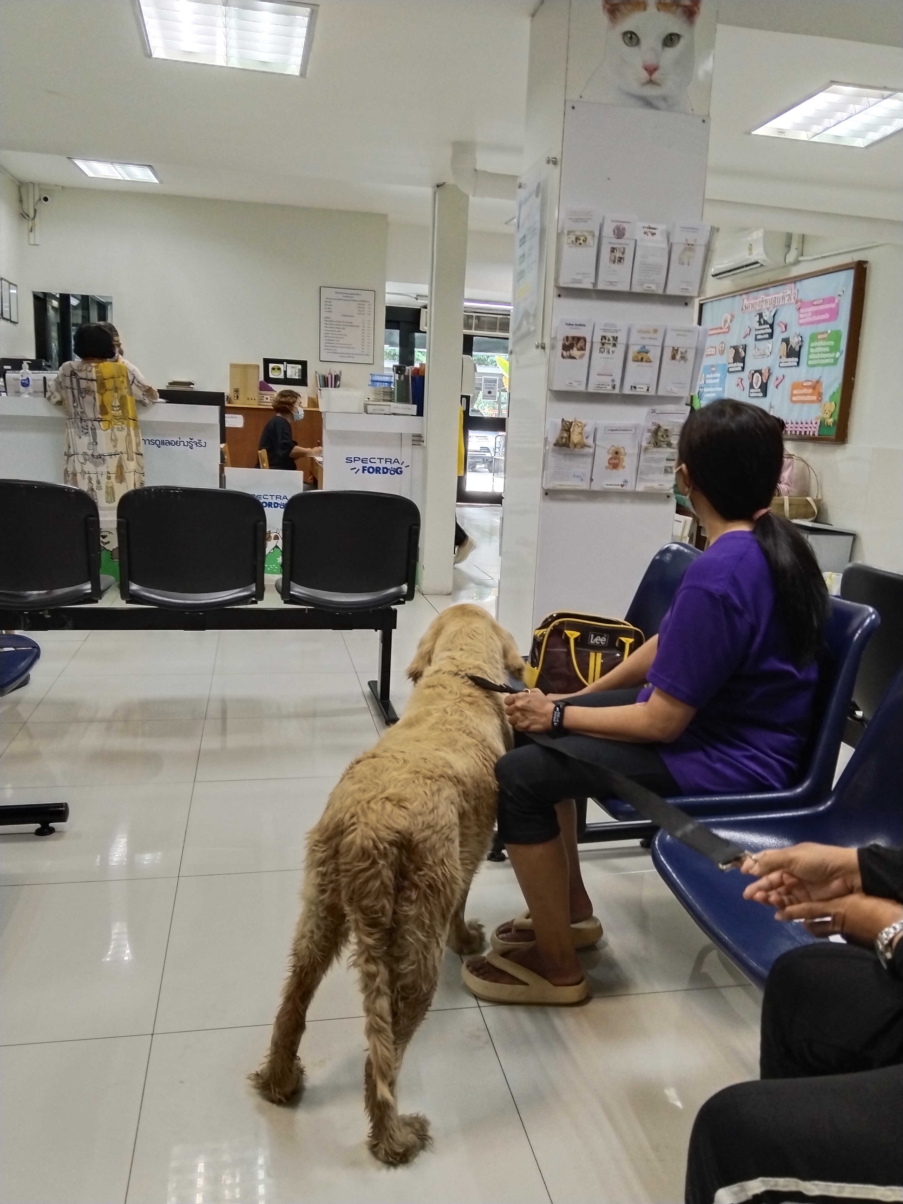 Animal Hospital Suwannachad