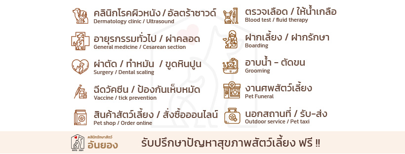 Annyeong Pet Clinic 77