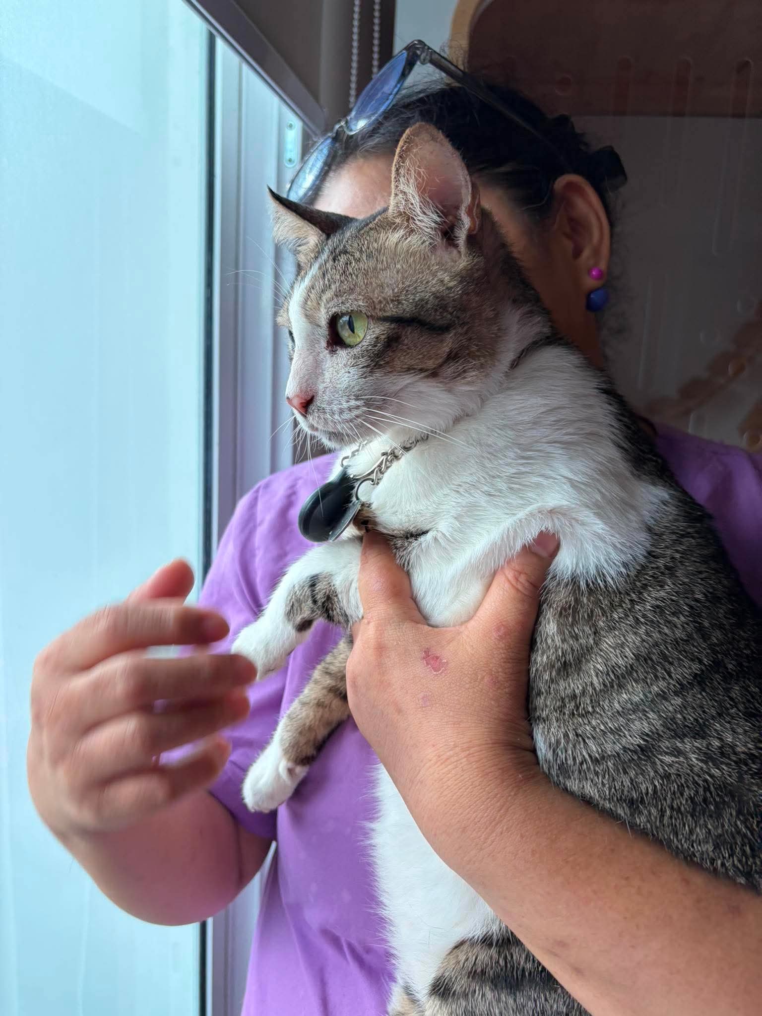 Arya Pet Wellness Center