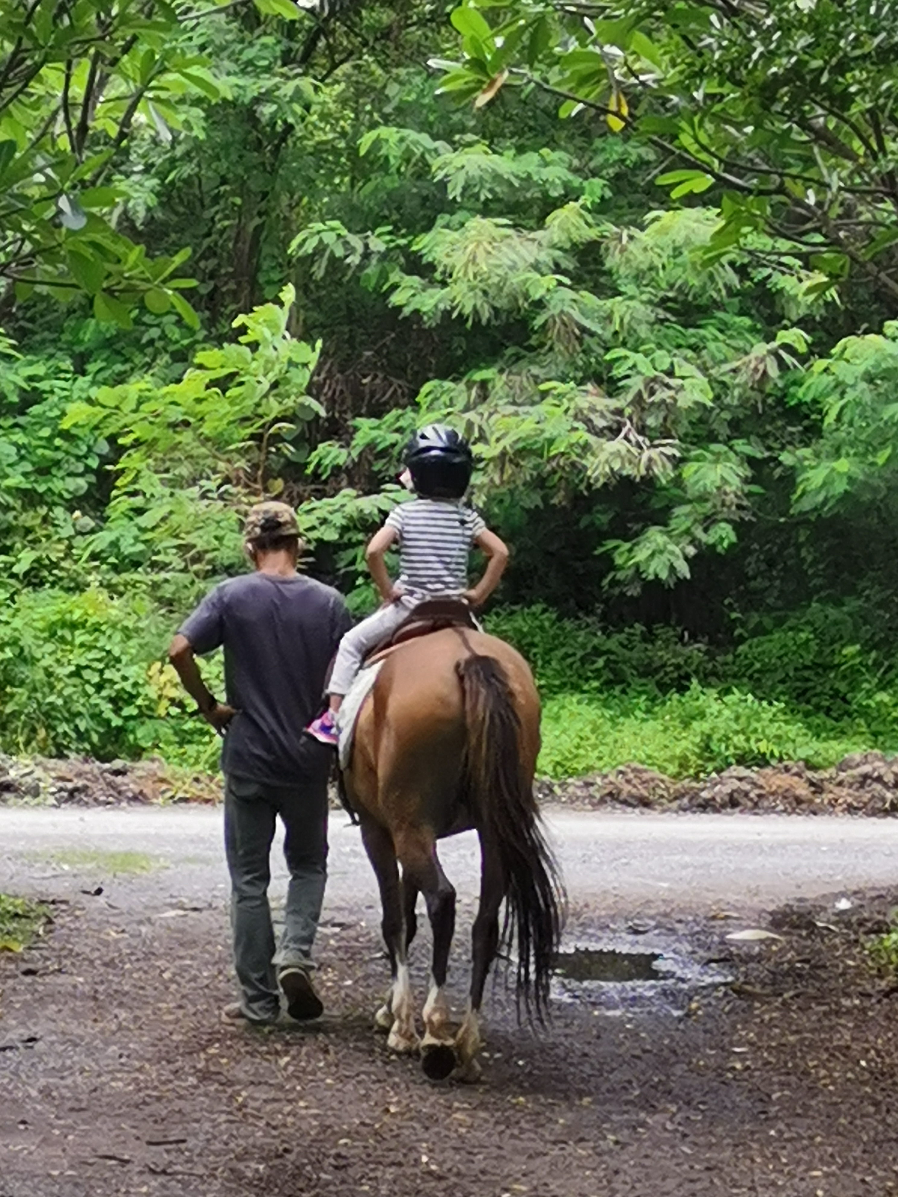 As J Horse Riding Club