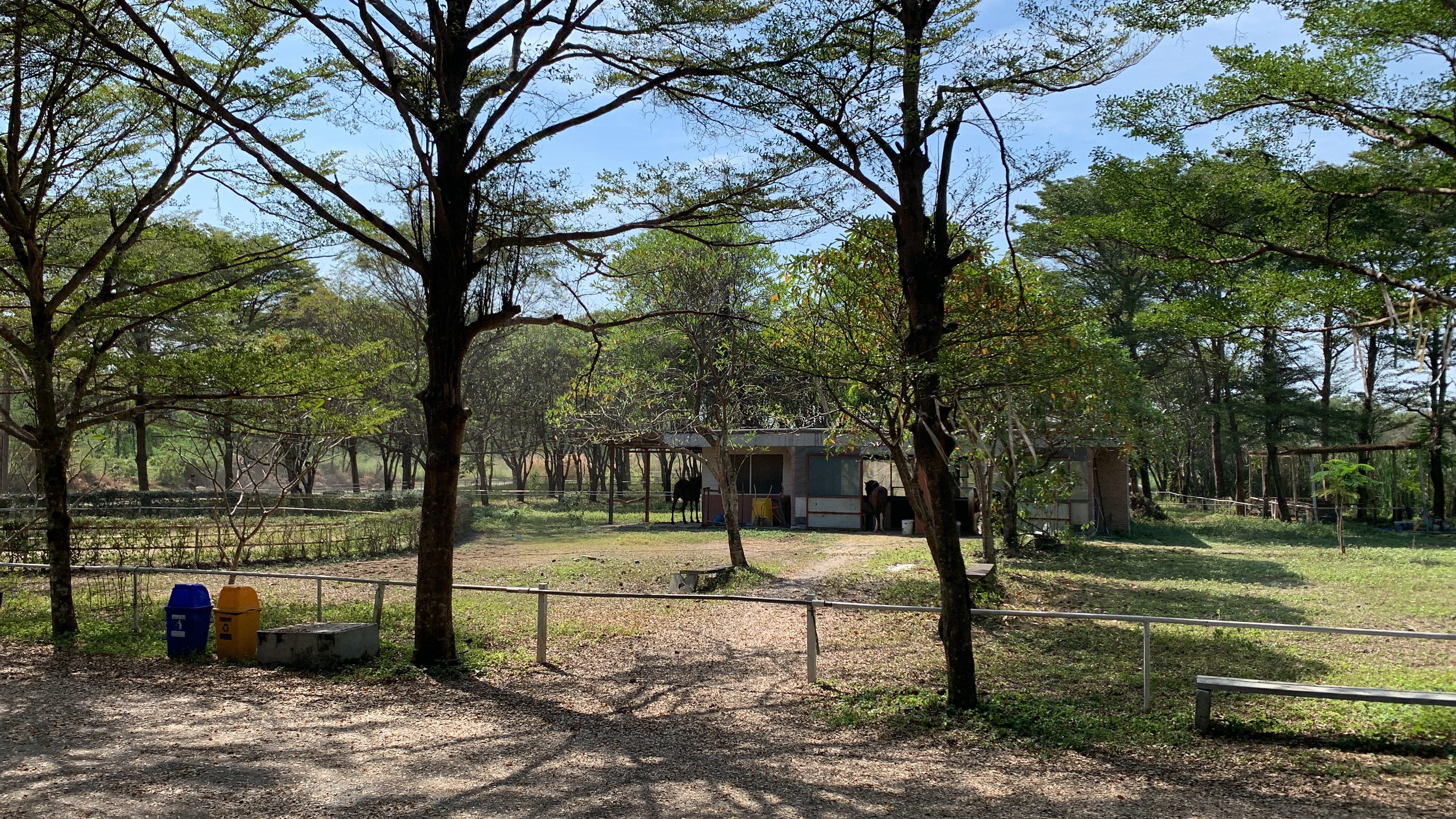 As J Horse Riding Club